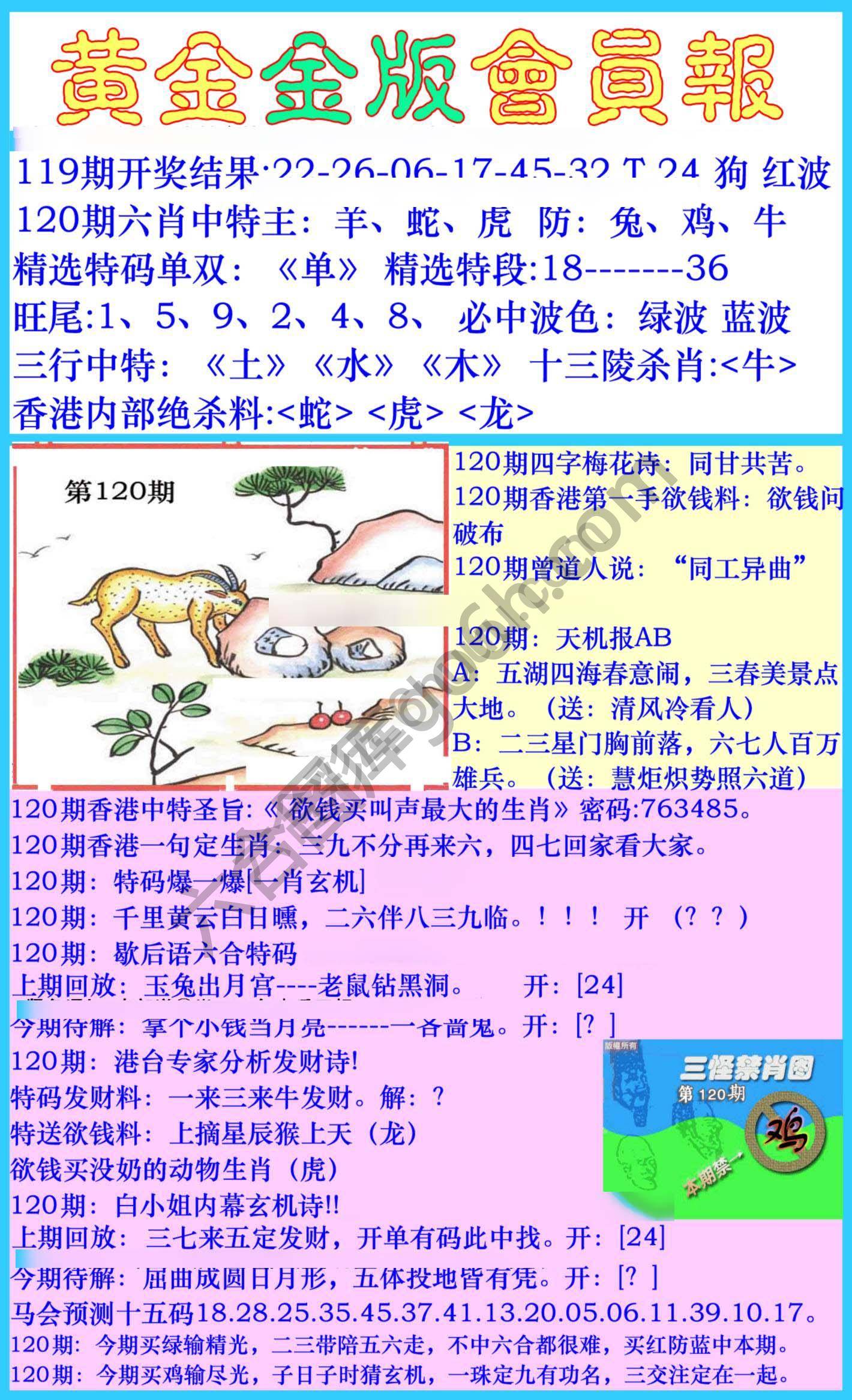 黄金金版会员报