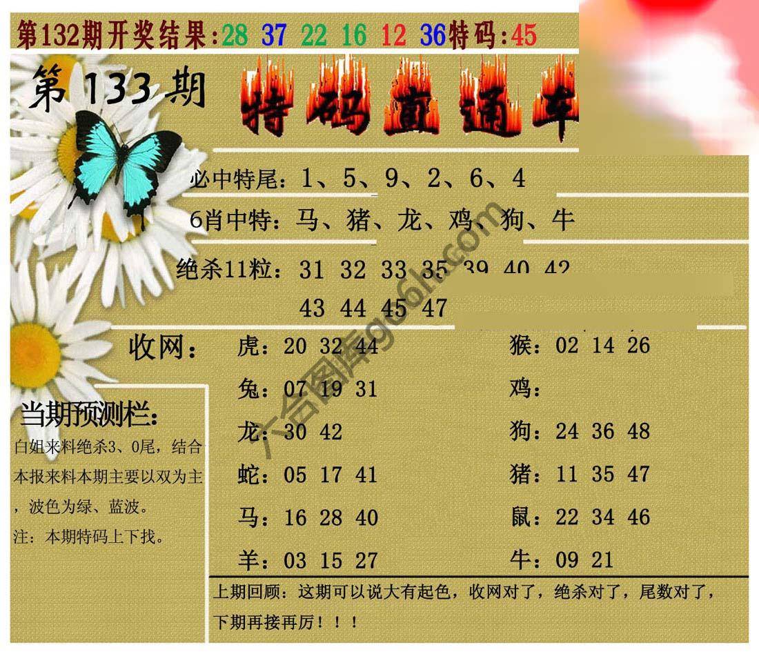 特码直通车