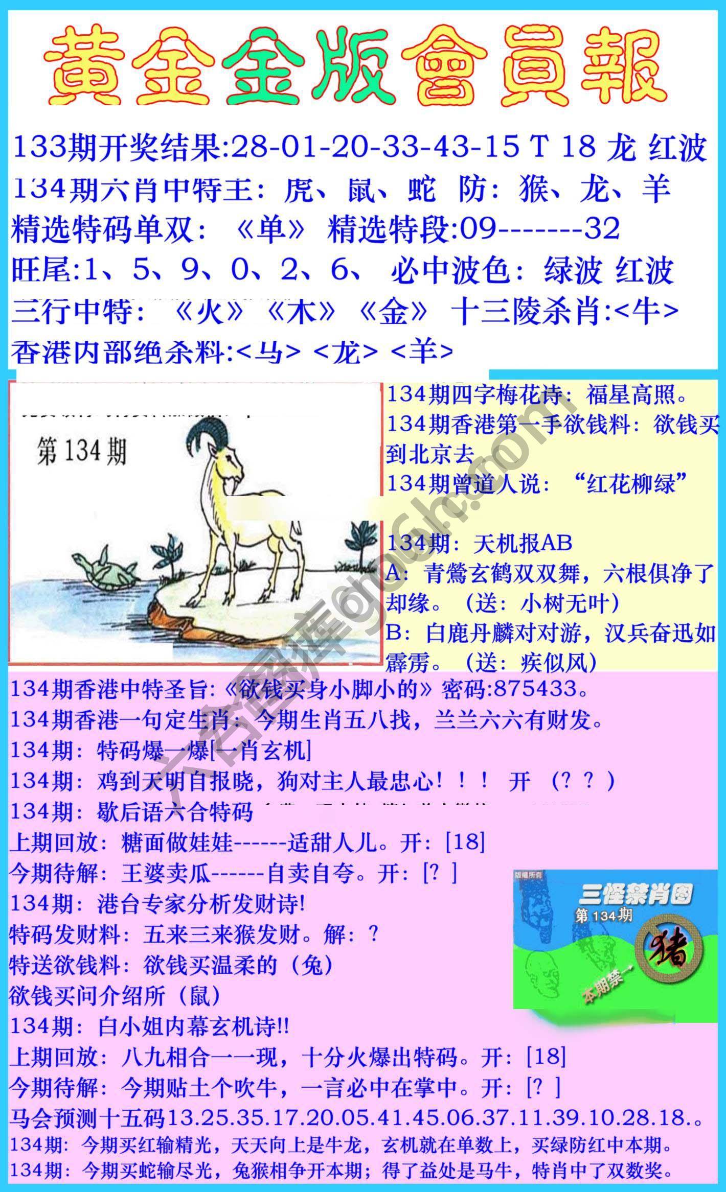 黄金金版会员报