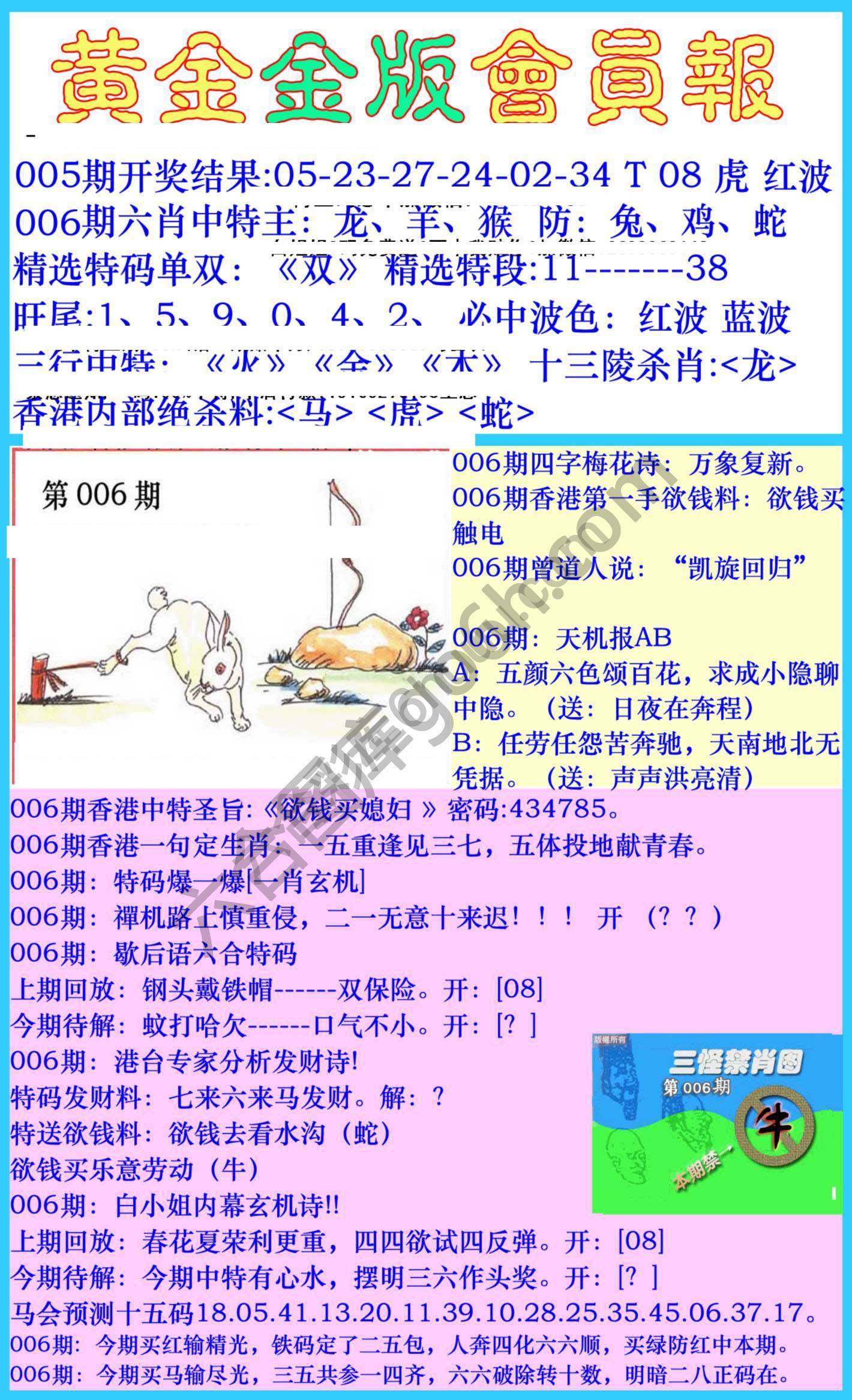 黄金金版会员报