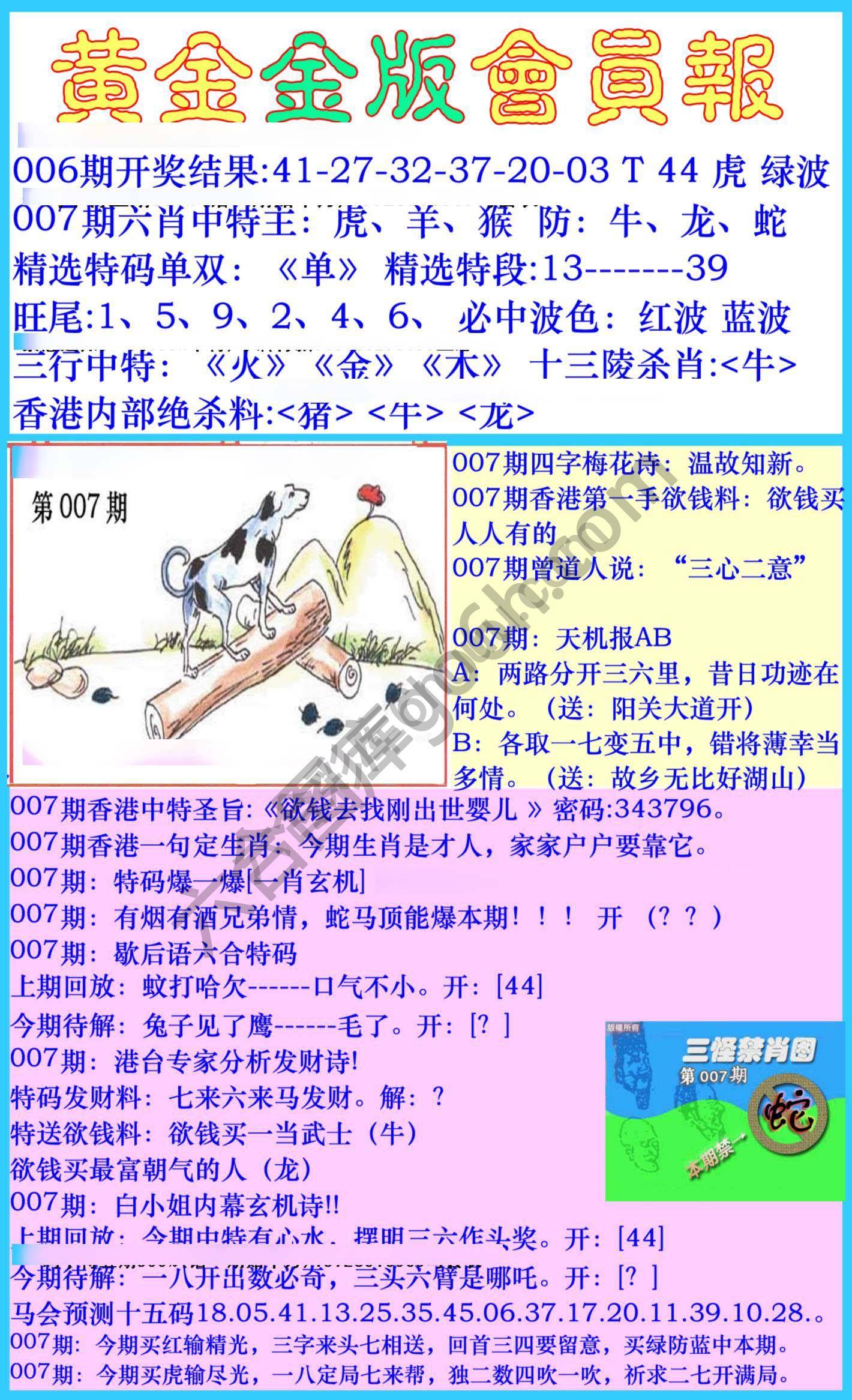 黄金金版会员报