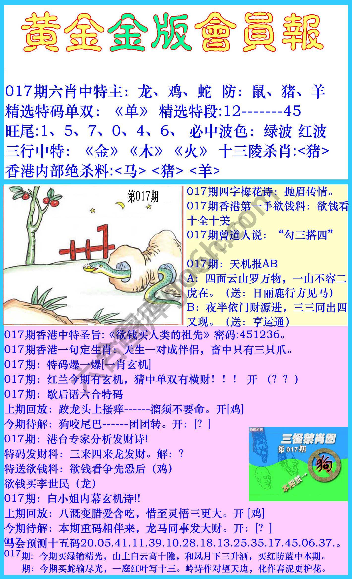 黄金金版会员报