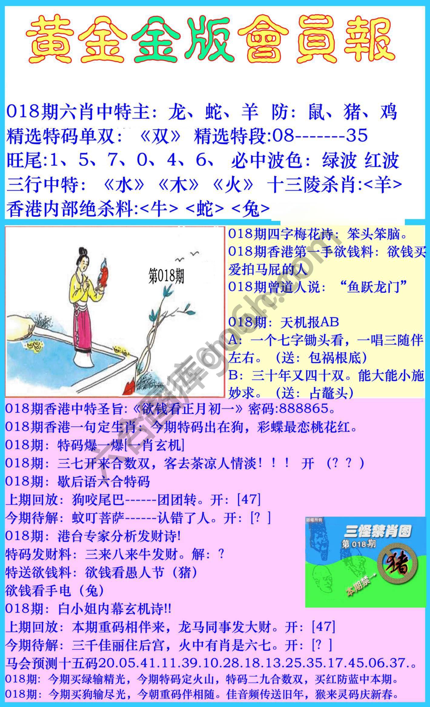 黄金金版会员报