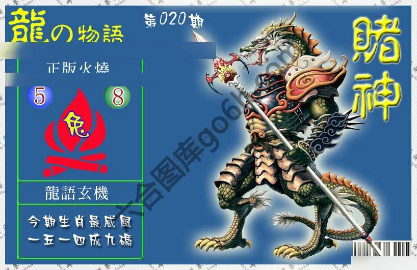 赌神龙报