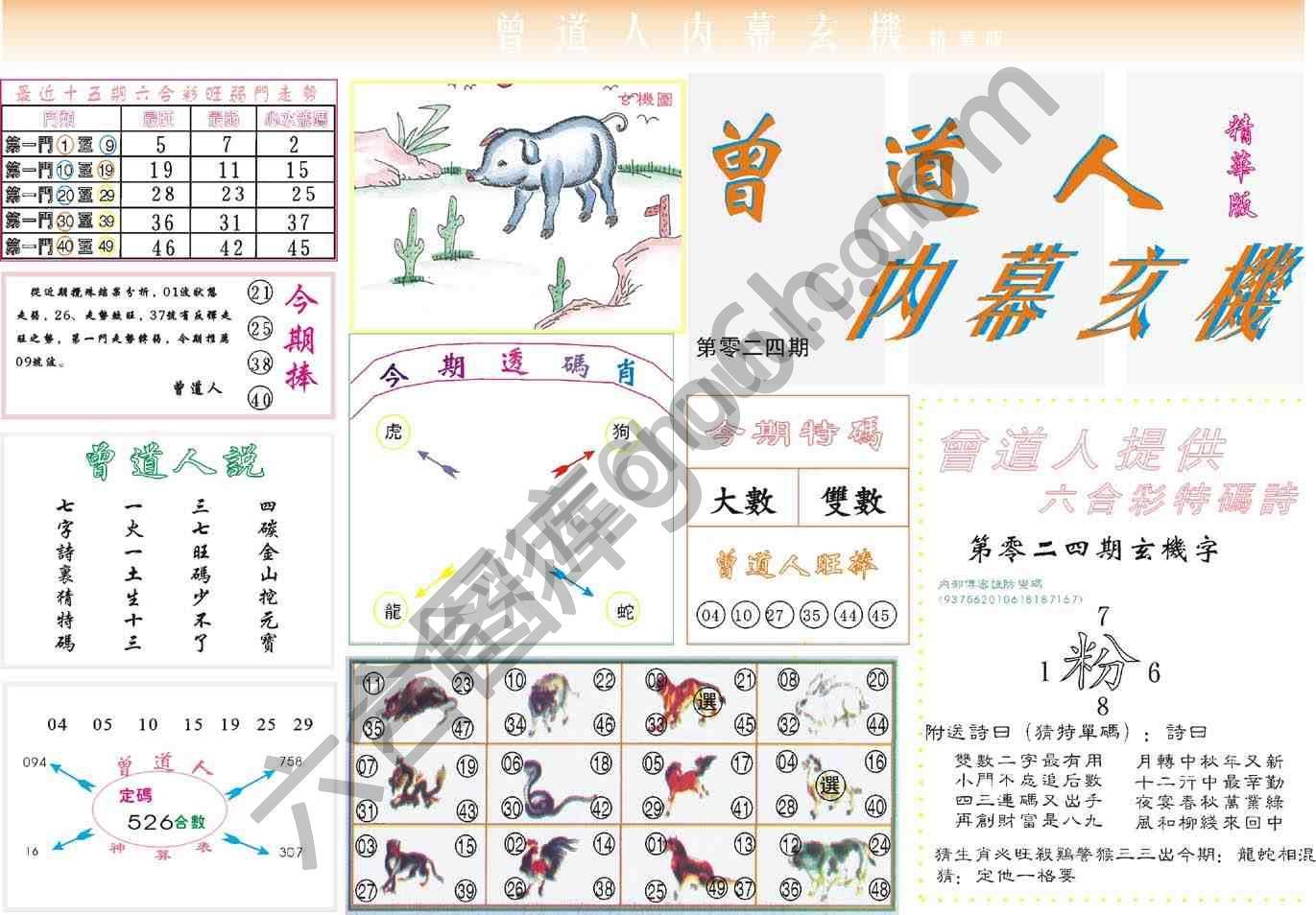 曾道人内幕玄机(精华版)