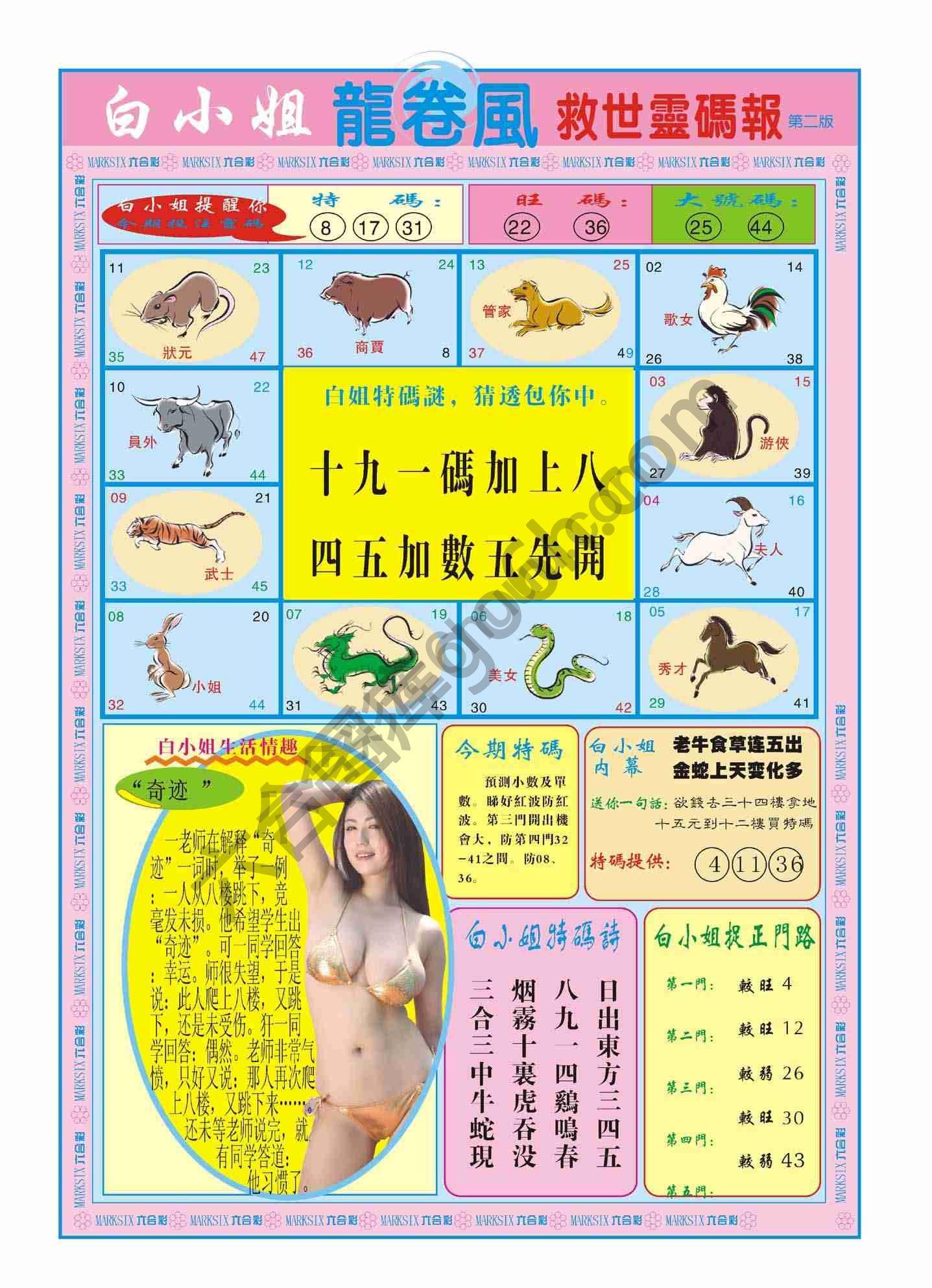 白小姐救世灵码报