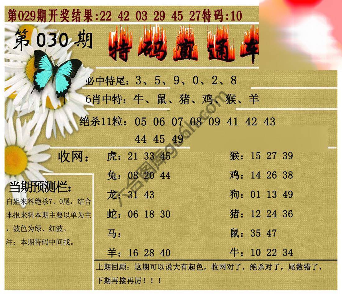 特码直通车