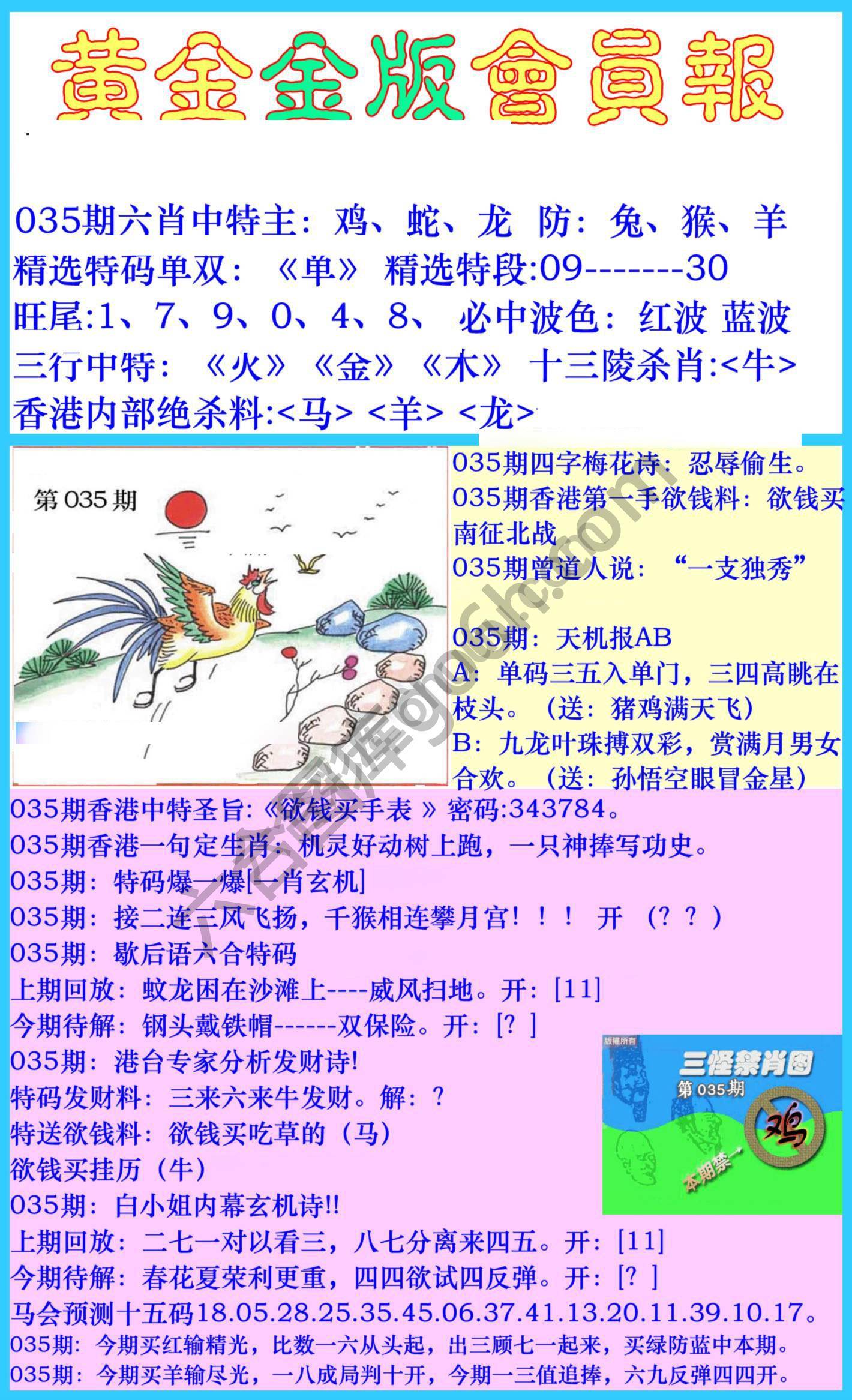 黄金金版会员报