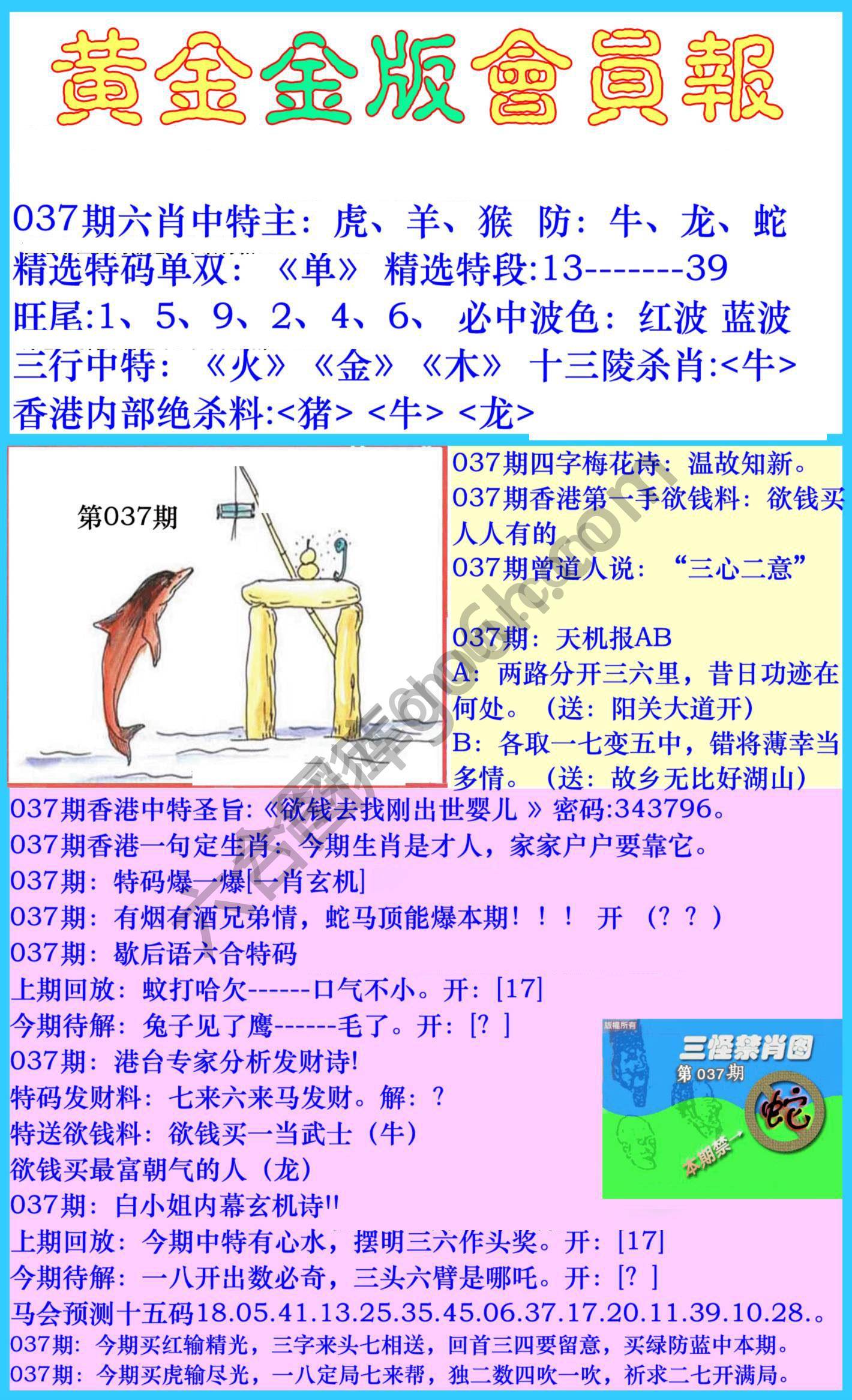 黄金金版会员报