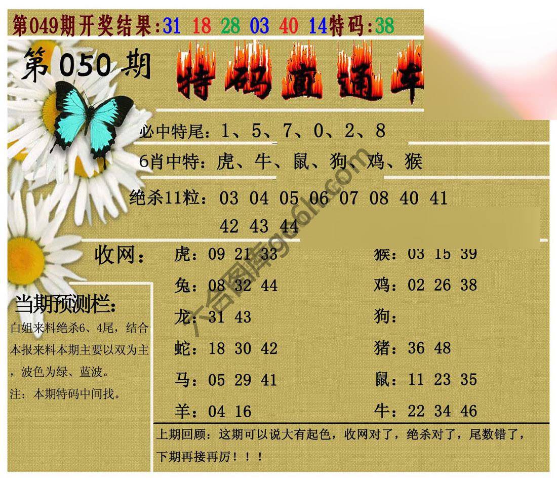 特码直通车
