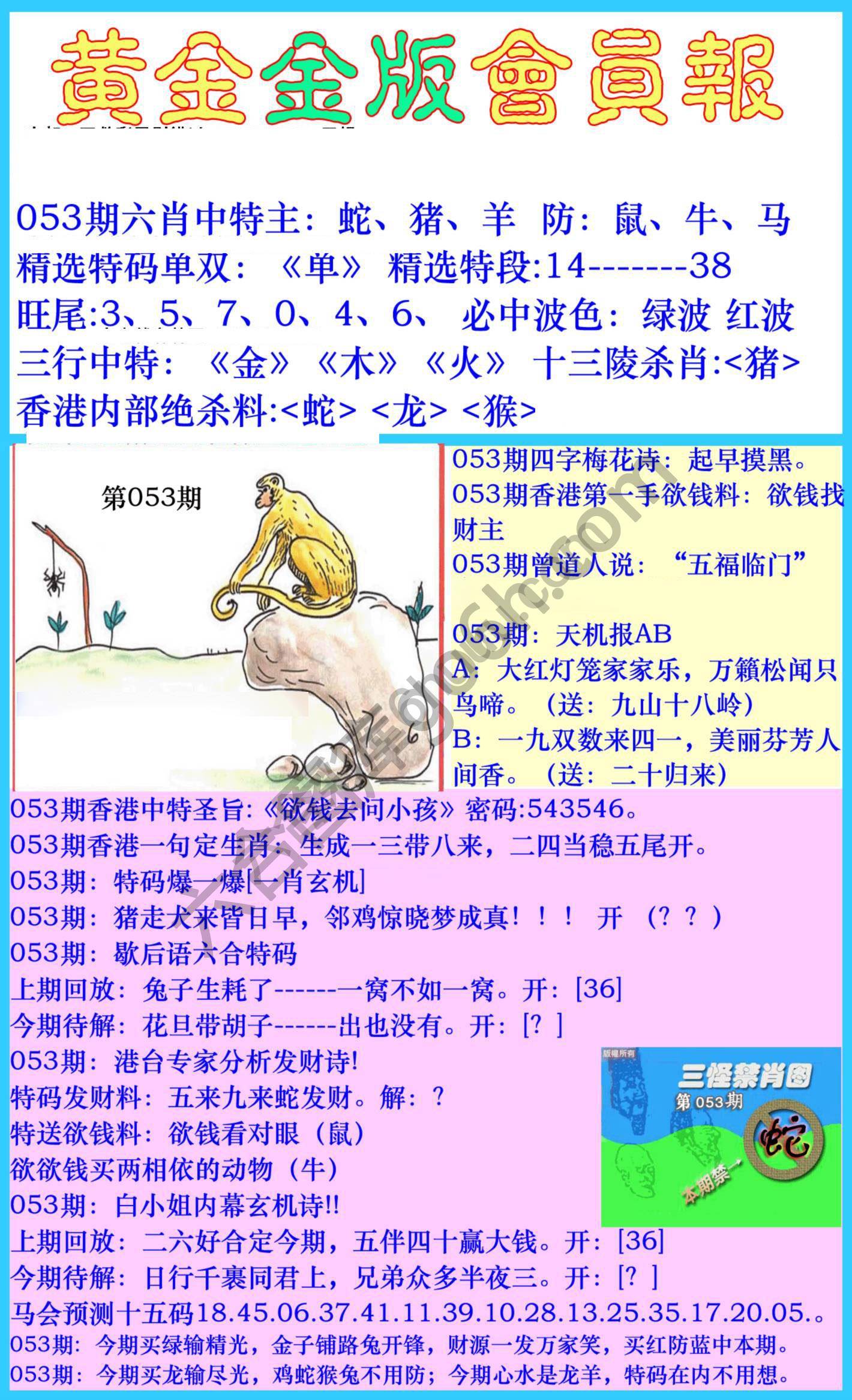 黄金金版会员报