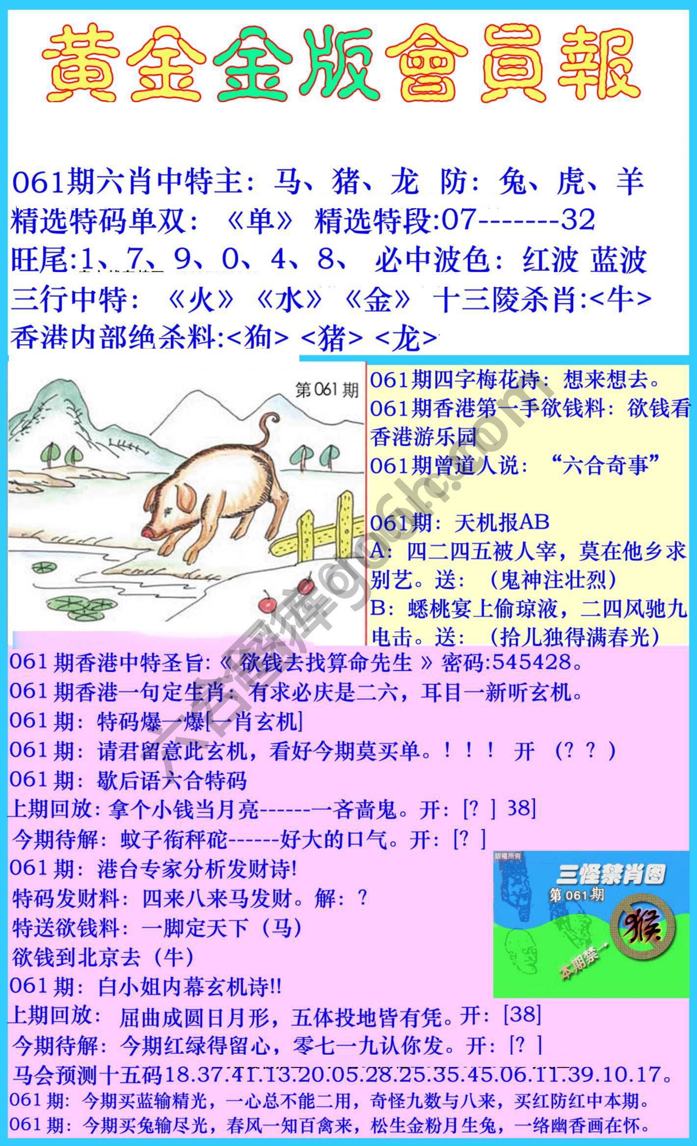 黄金金版会员报