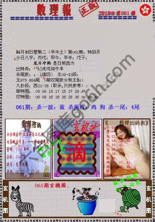 数理报