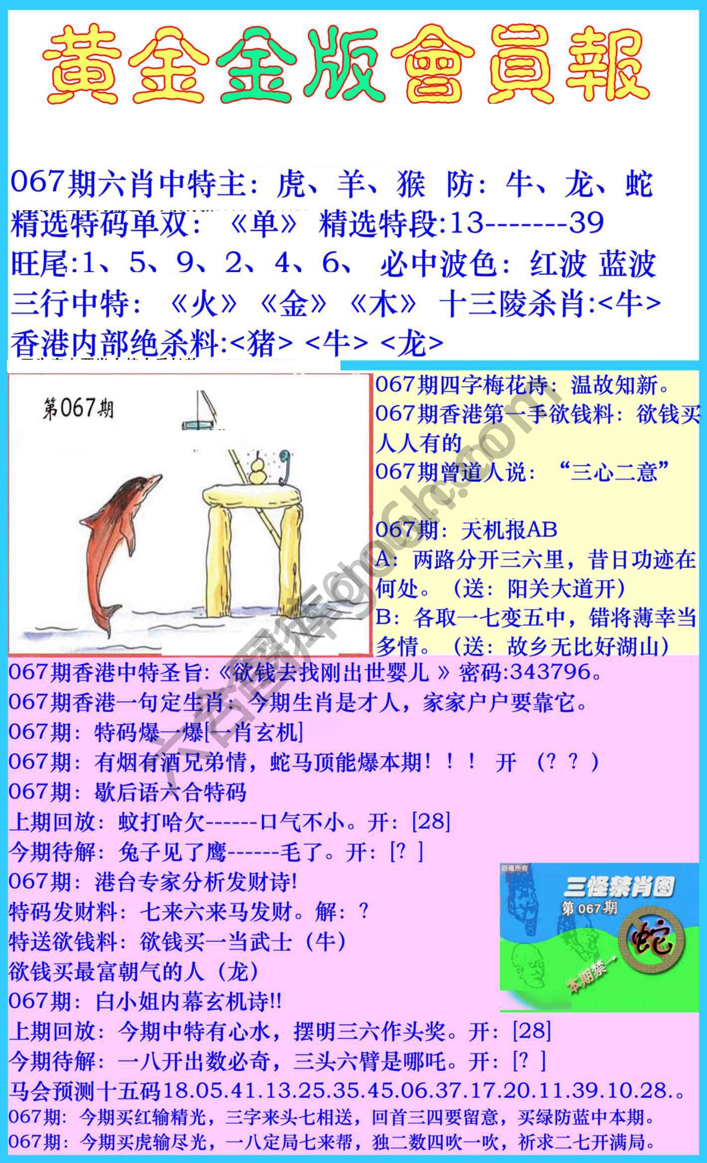 黄金金版会员报