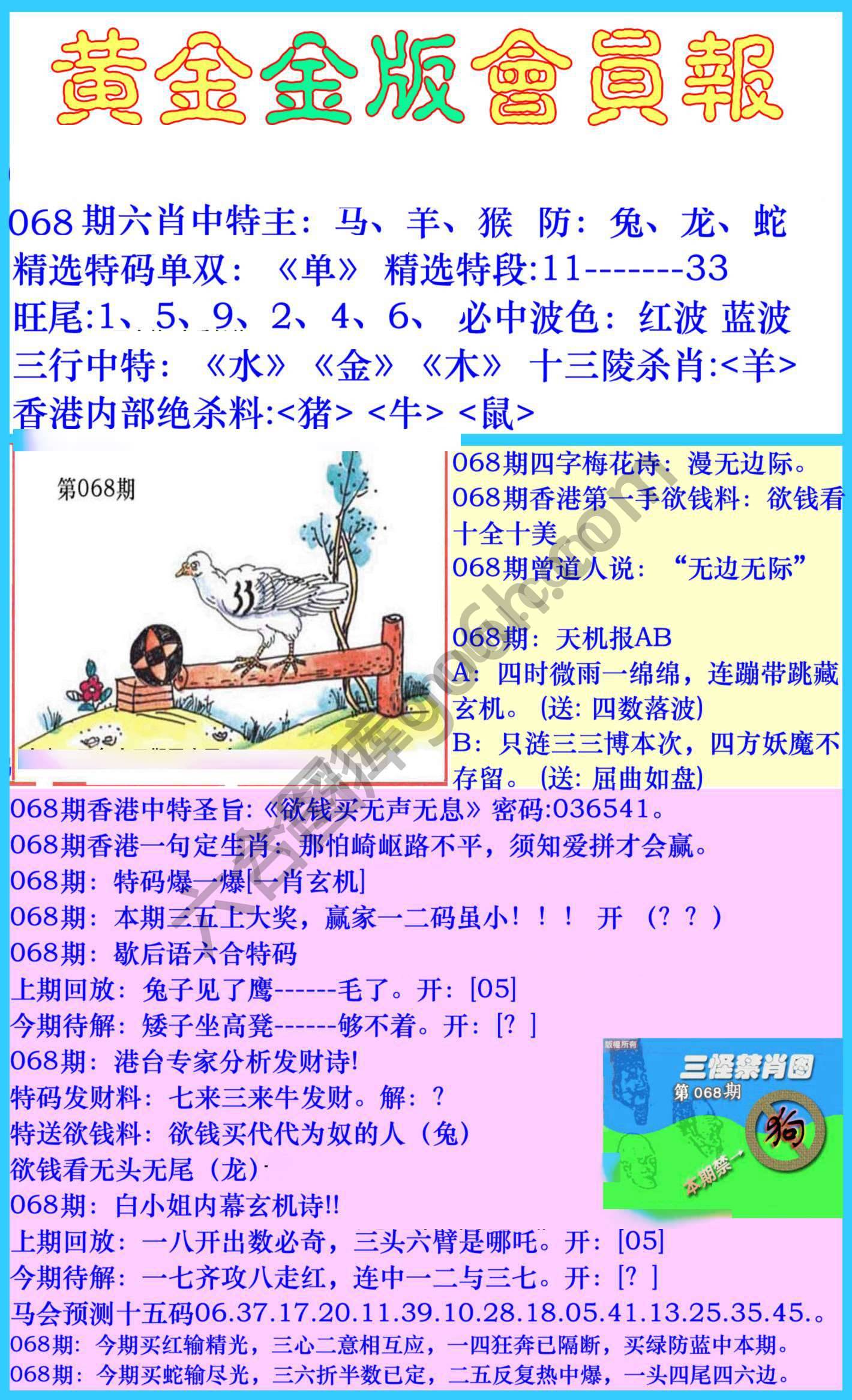 黄金金版会员报