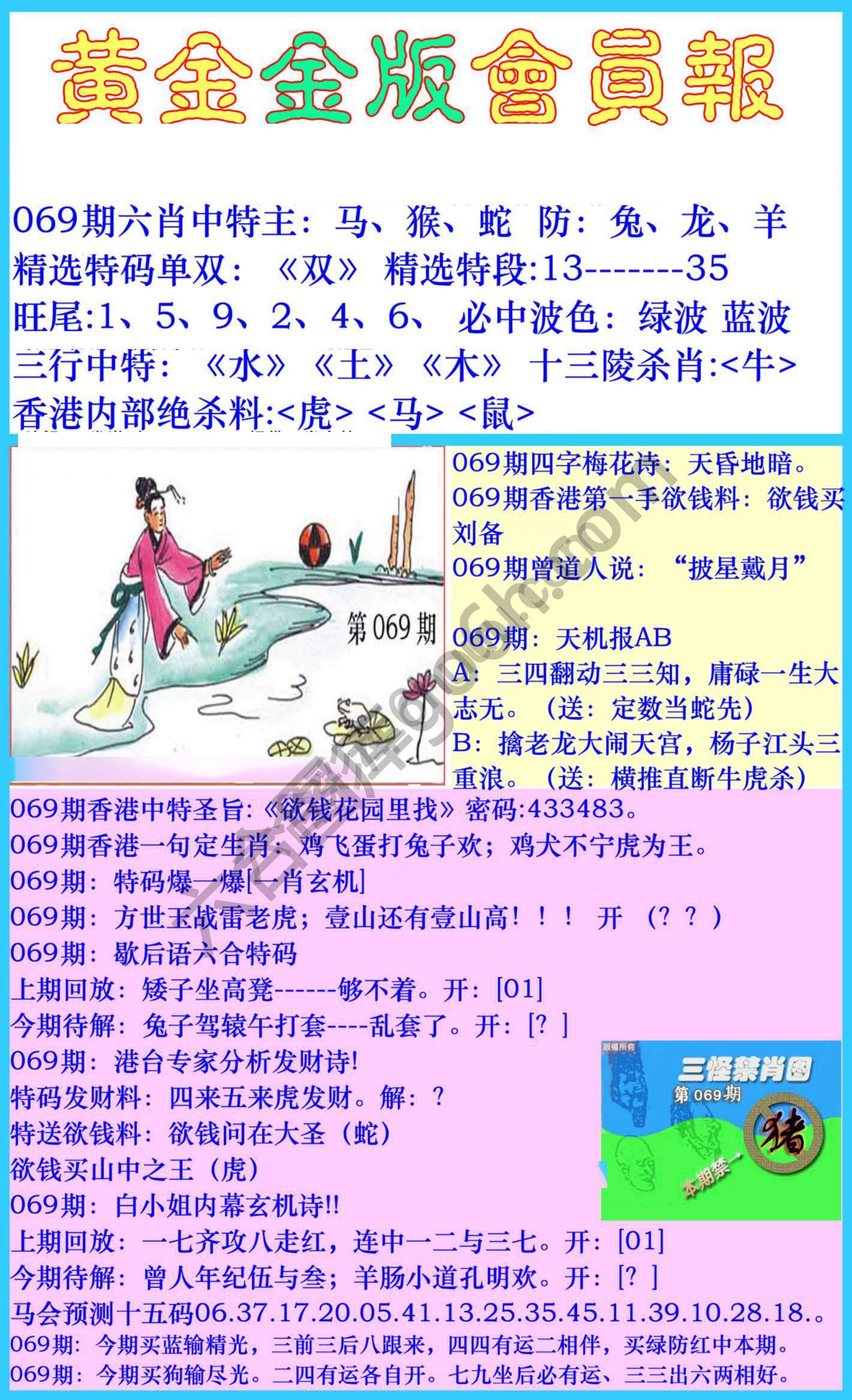 黄金金版会员报