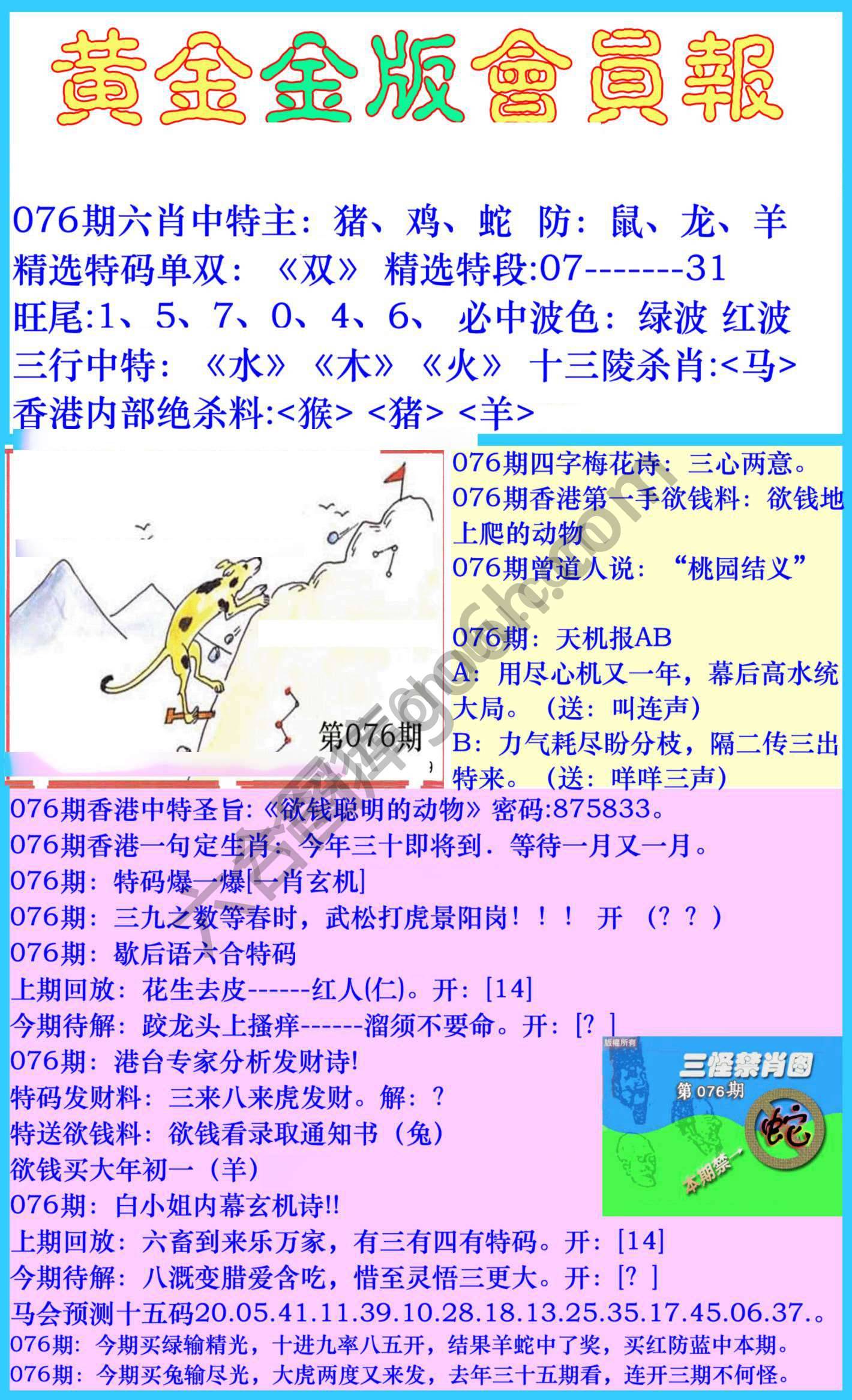 黄金金版会员报