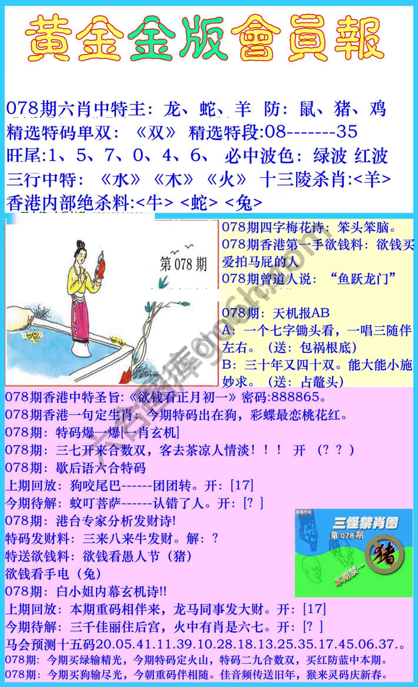 黄金金版会员报