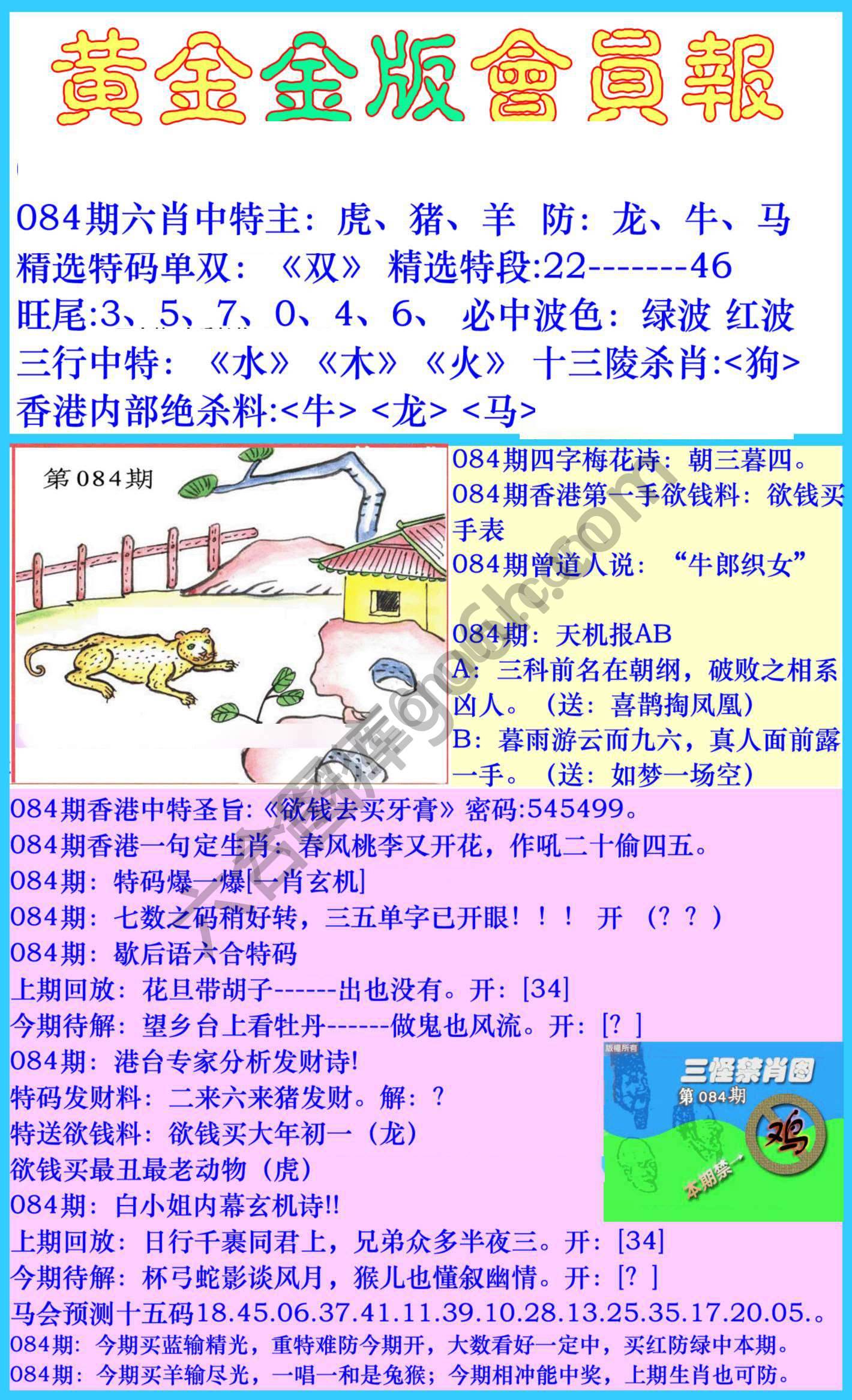 黄金金版会员报