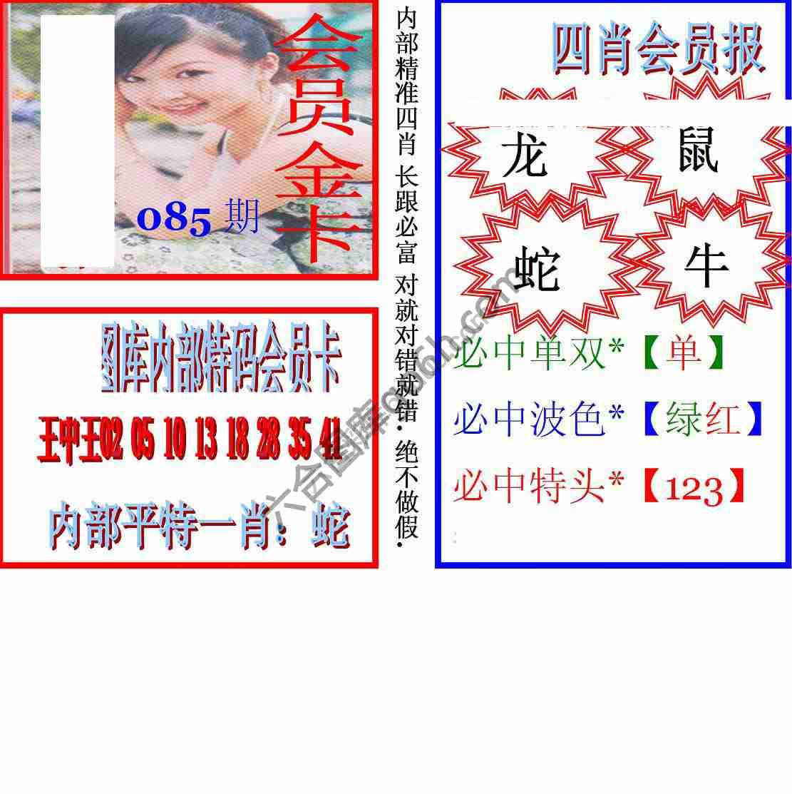 马经四肖会员报