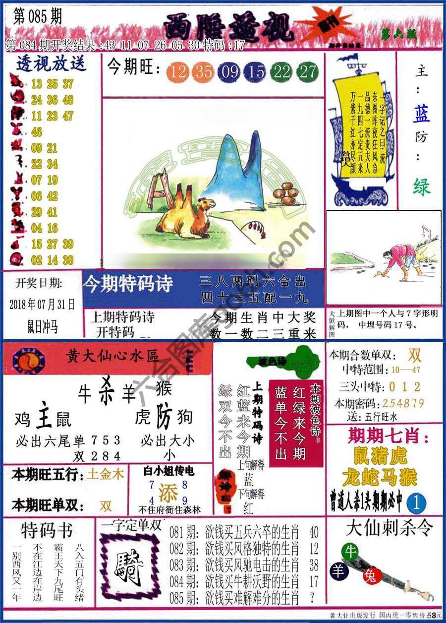 西陲透视（正版）