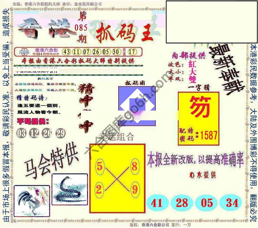 新抓码王