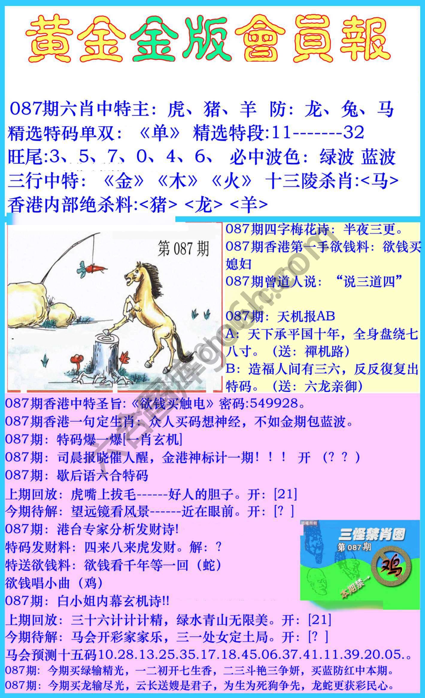 黄金金版会员报