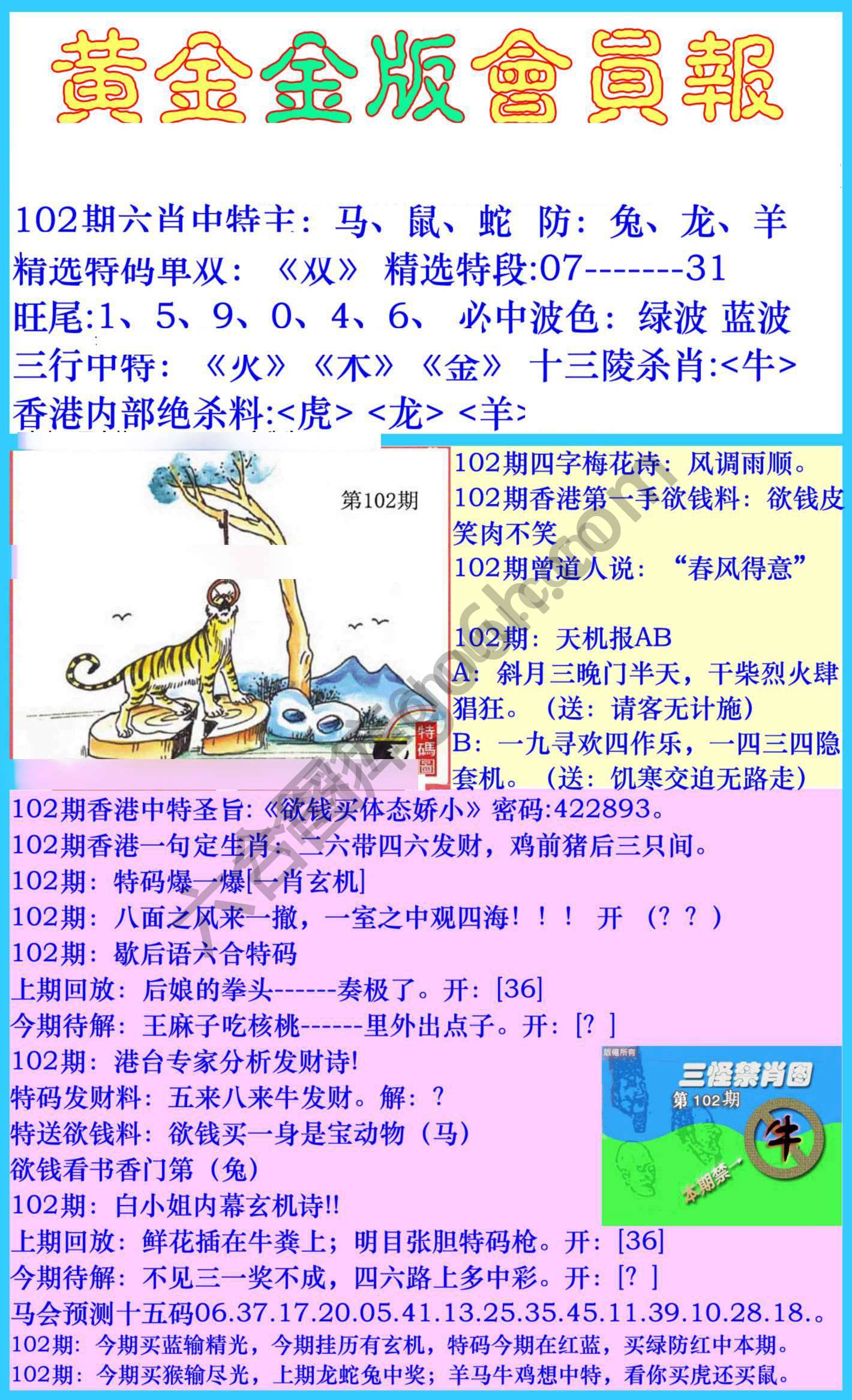 黄金金版会员报