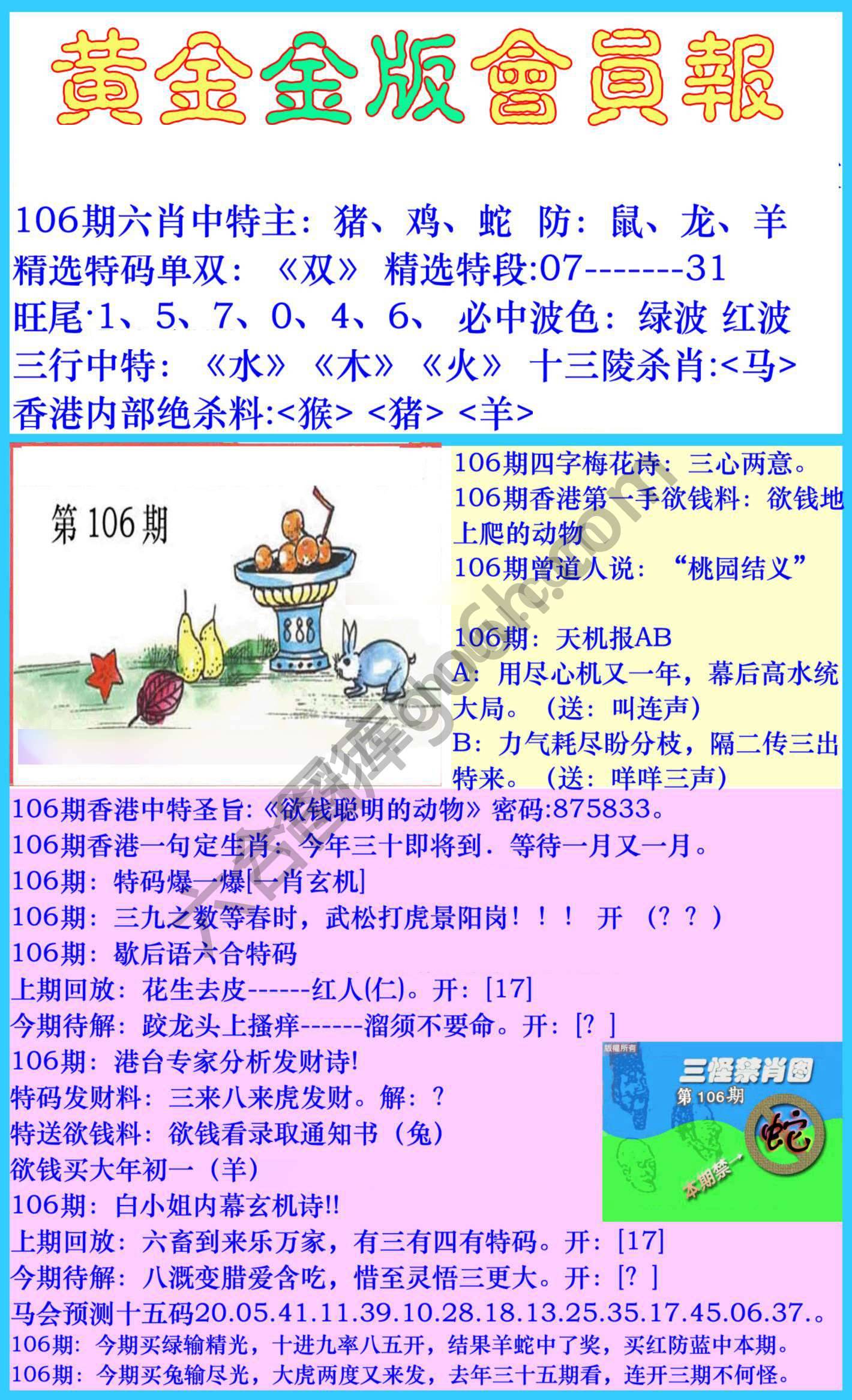 黄金金版会员报