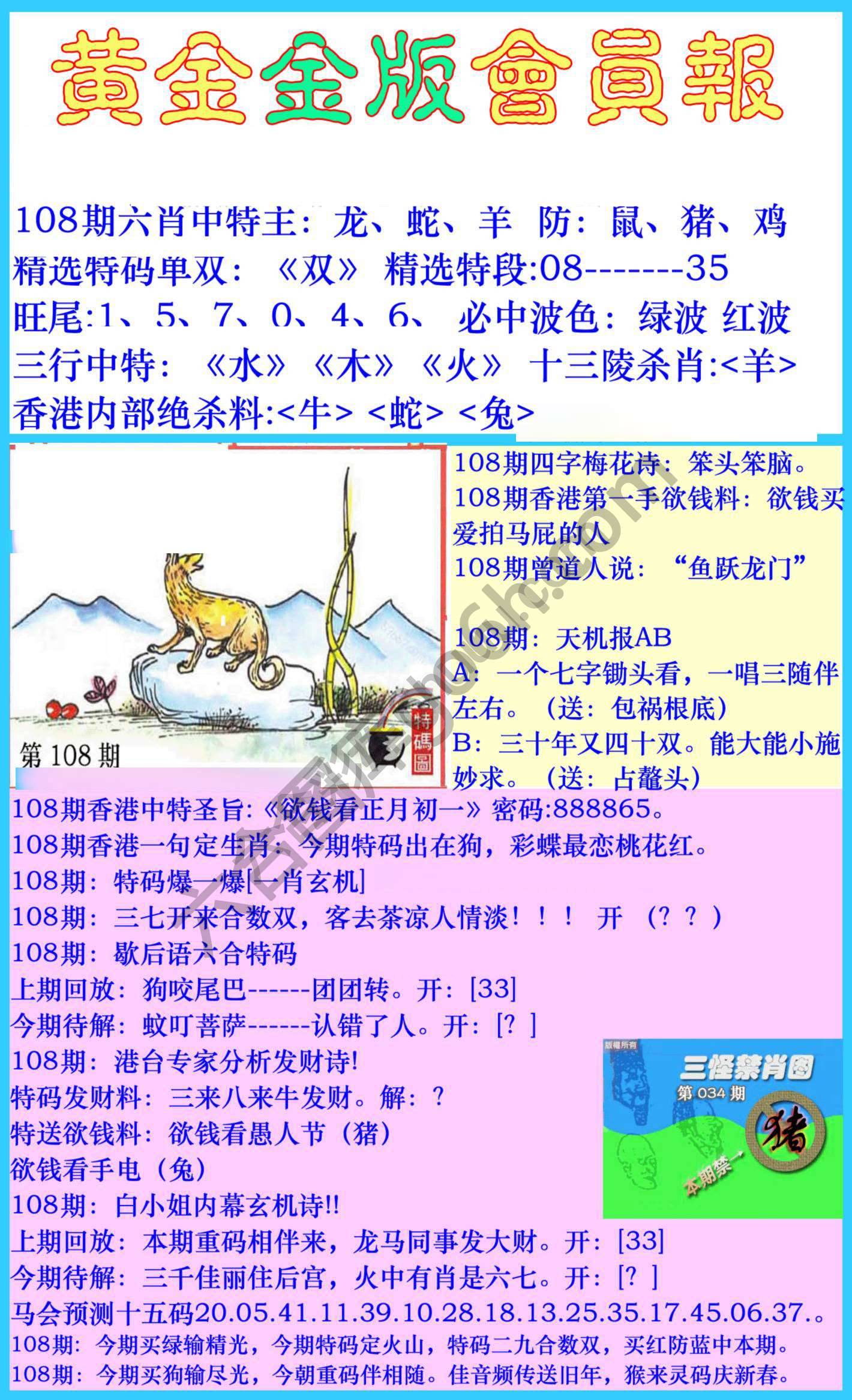 黄金金版会员报