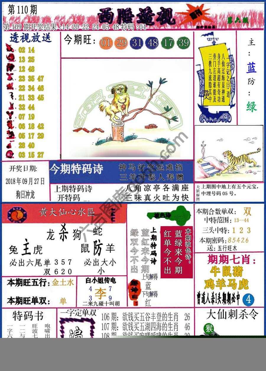 西陲透视（正版）