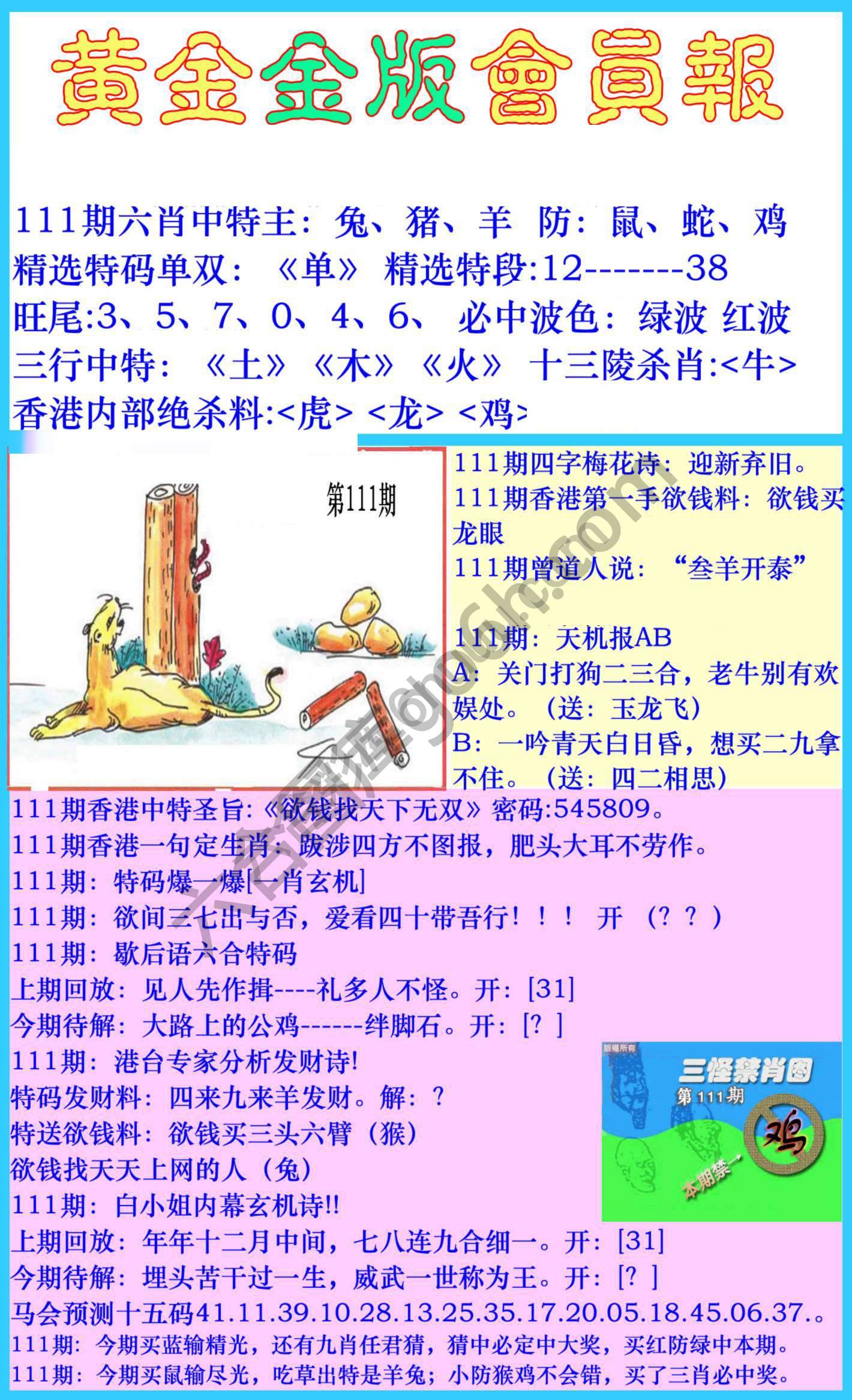 黄金金版会员报