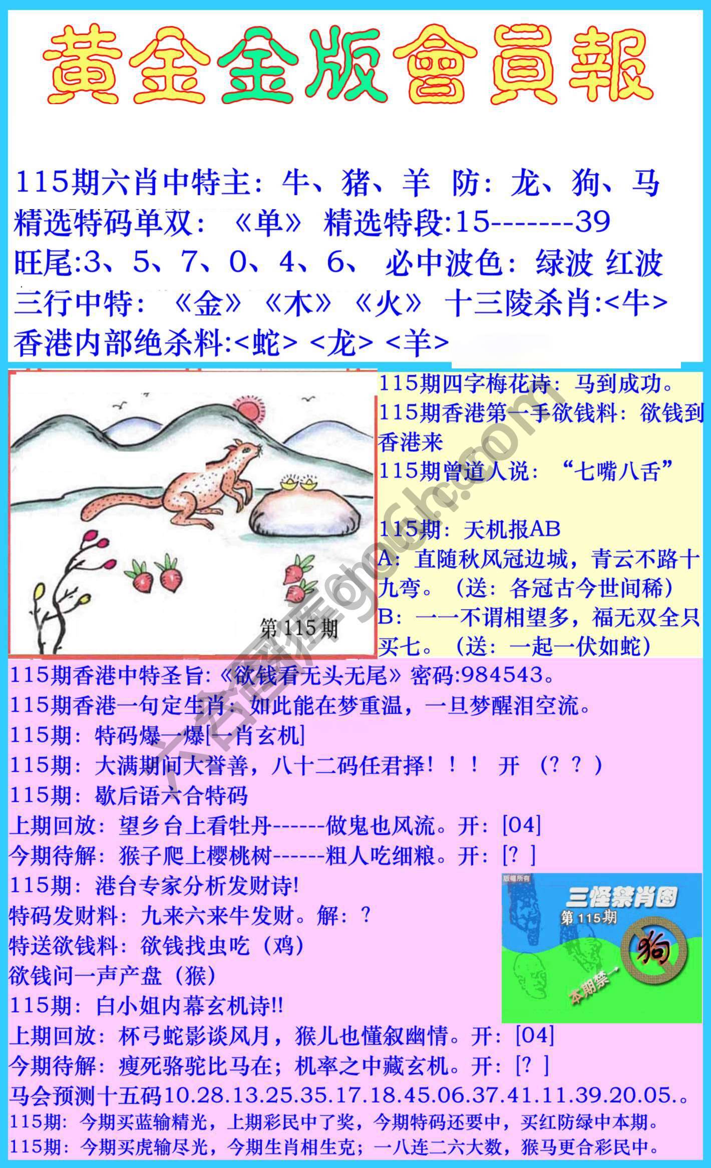 黄金金版会员报