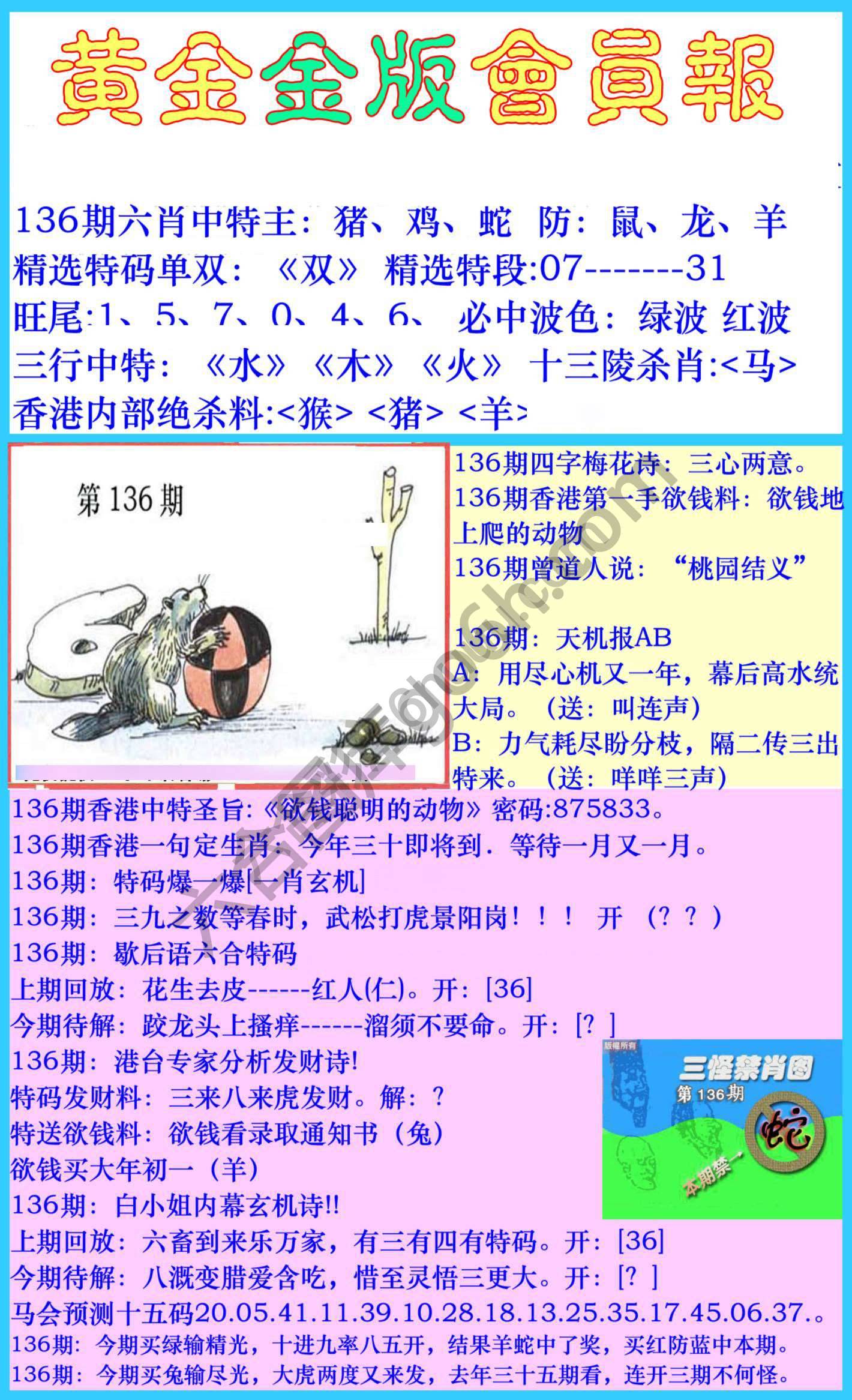 黄金金版会员报