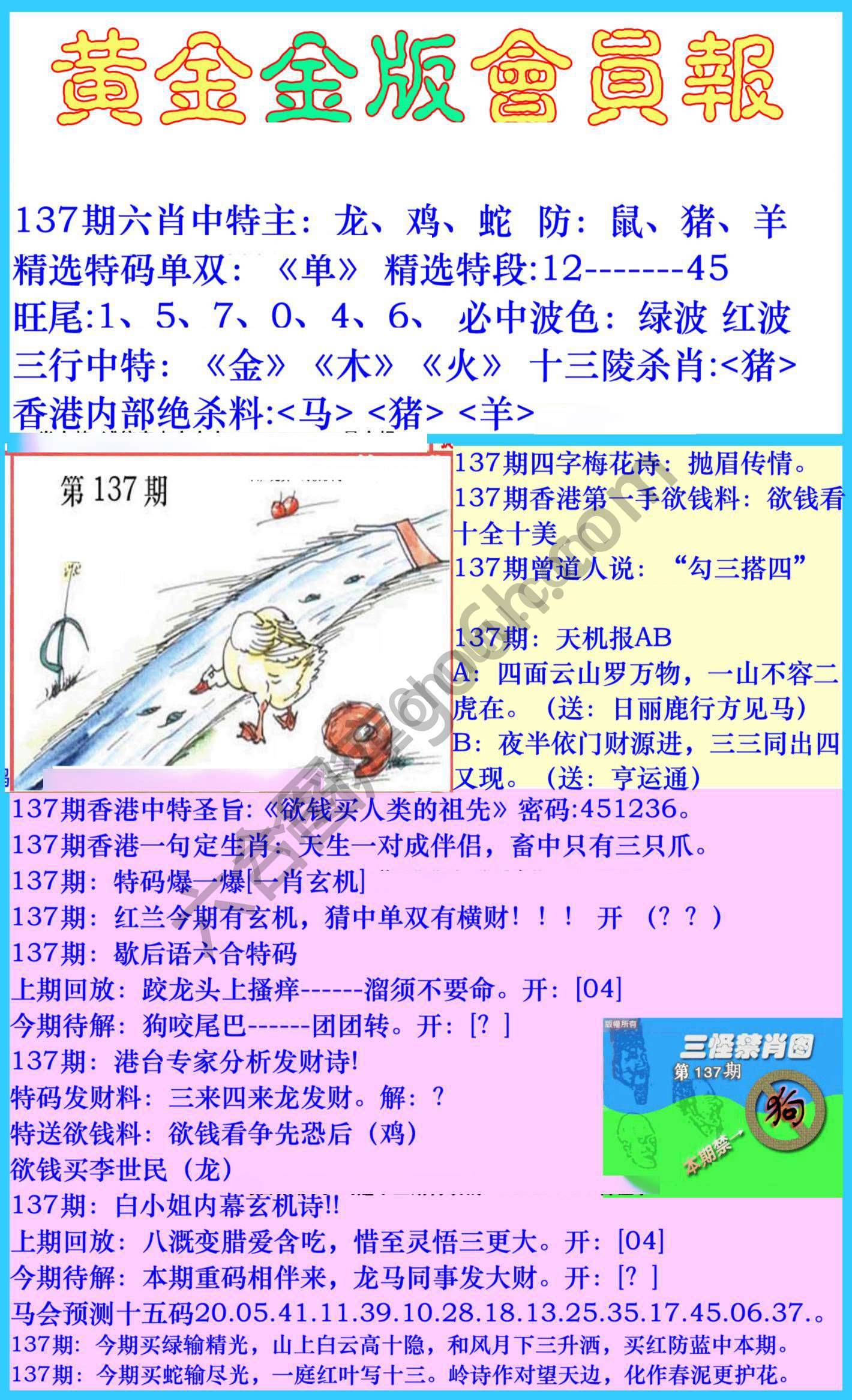 黄金金版会员报