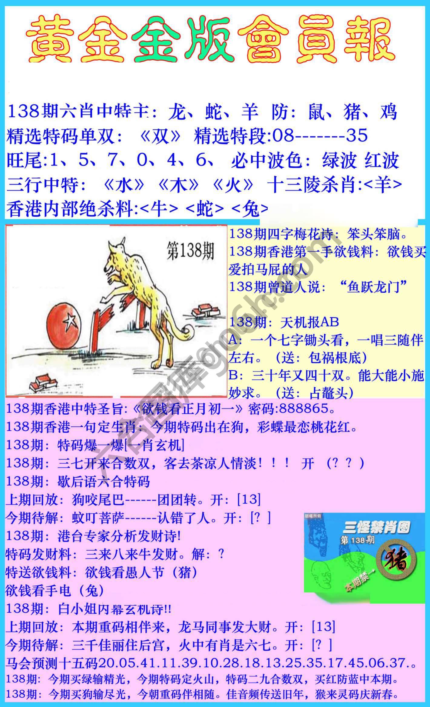 黄金金版会员报