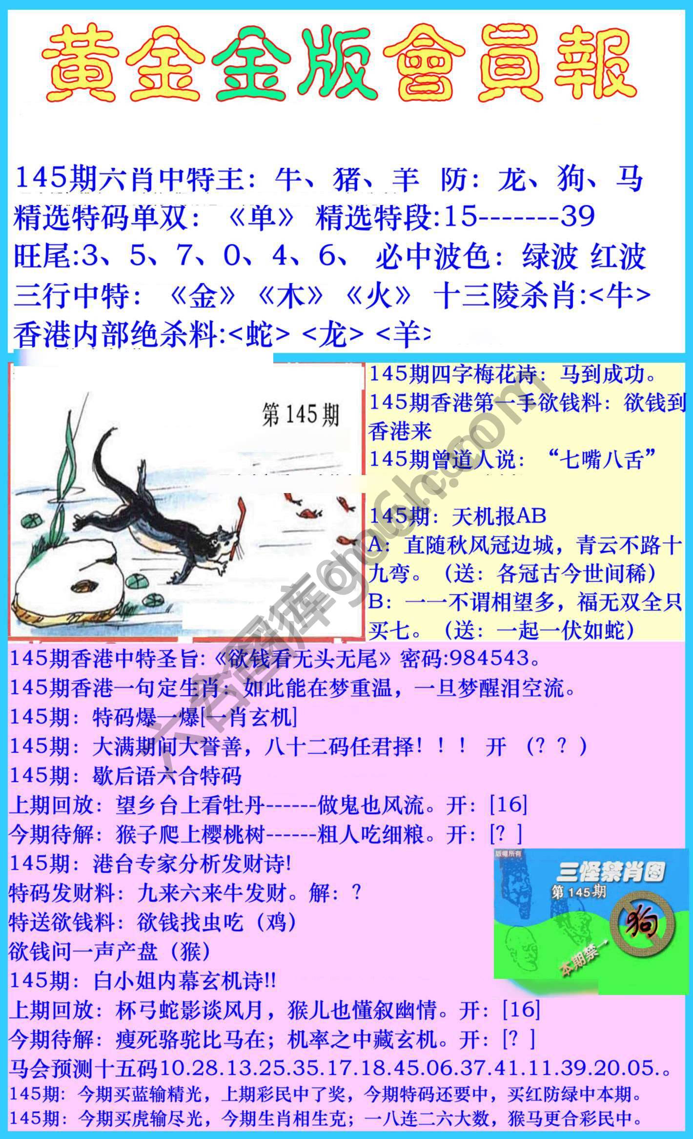 黄金金版会员报