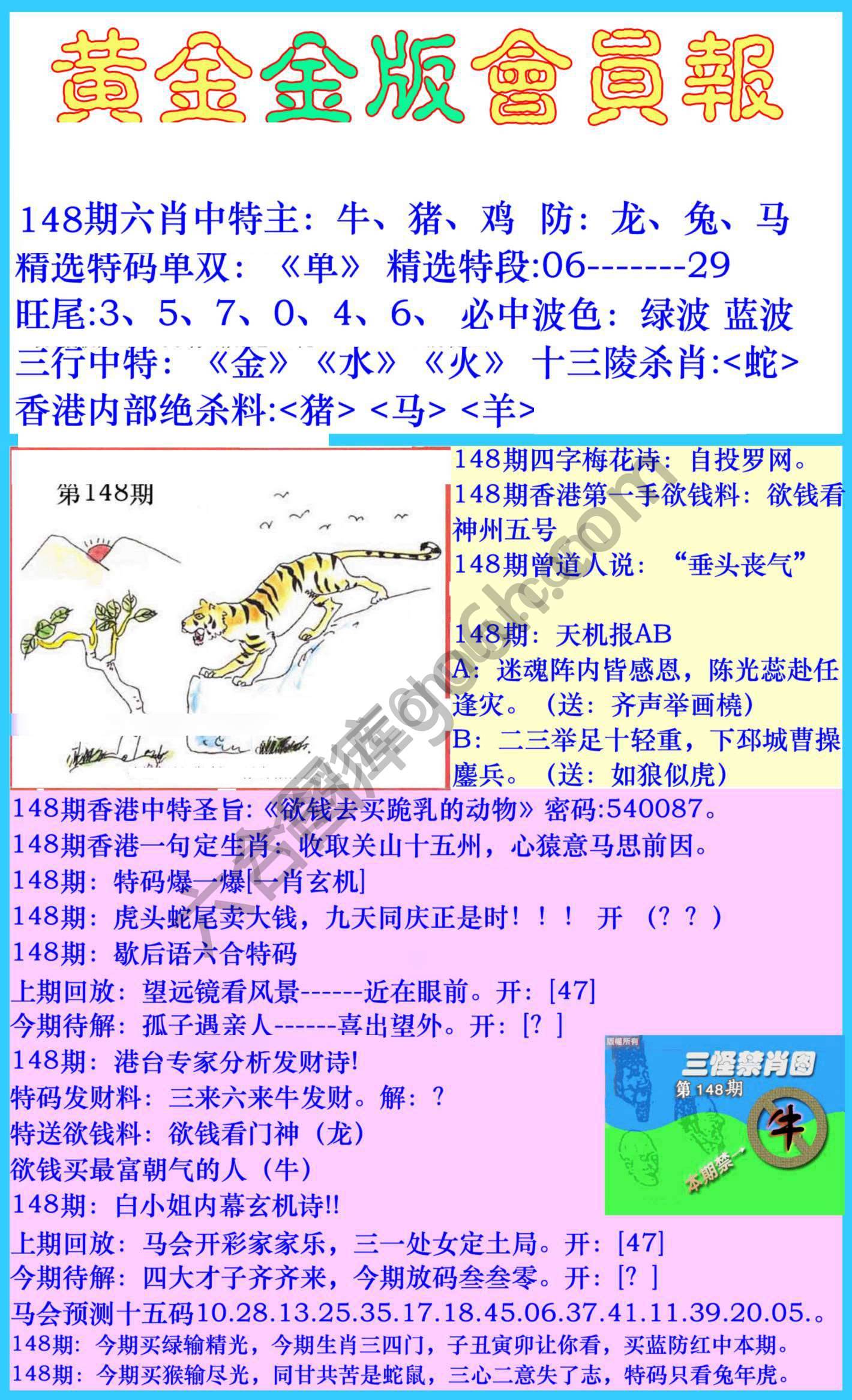 黄金金版会员报