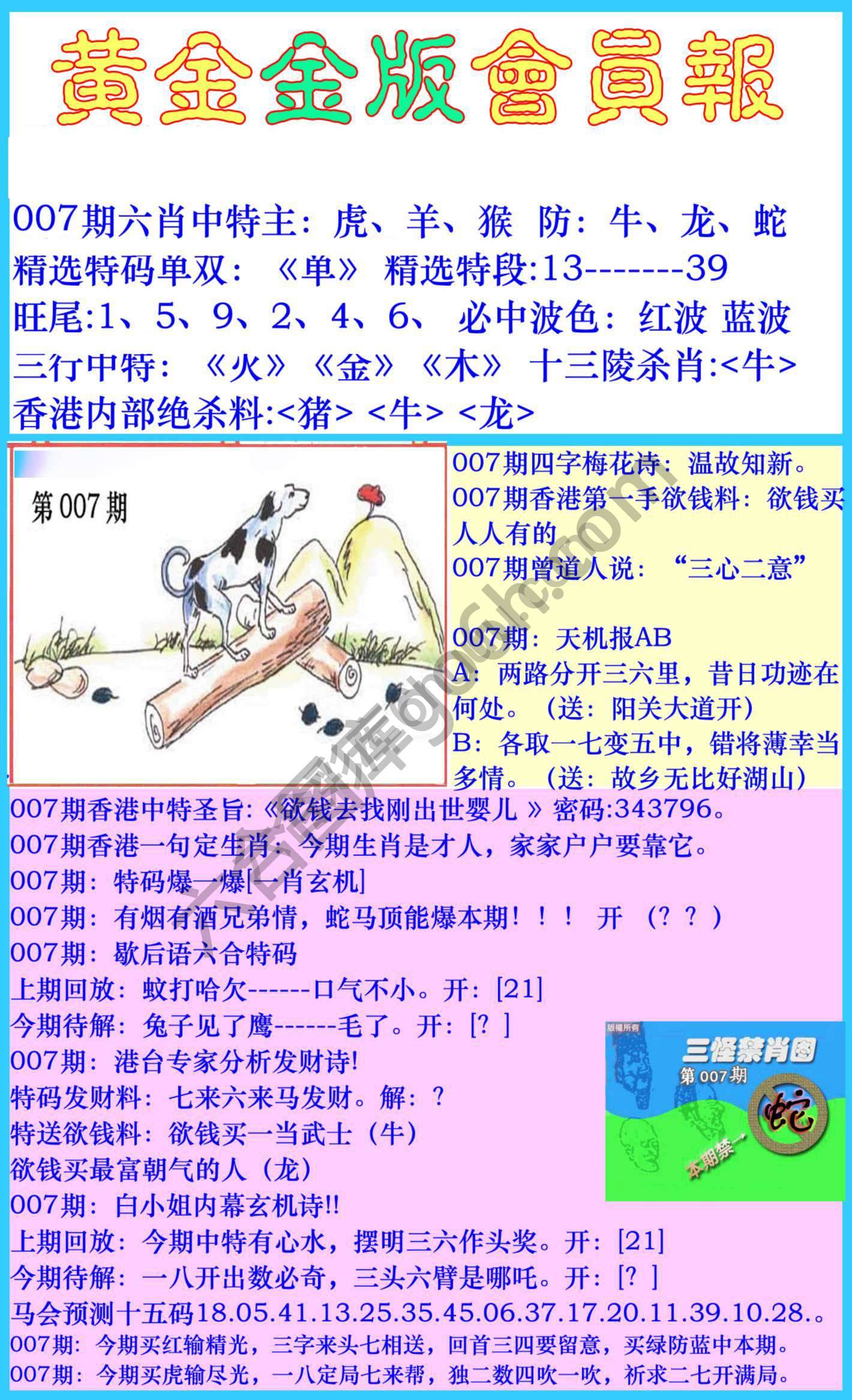 黄金金版会员报