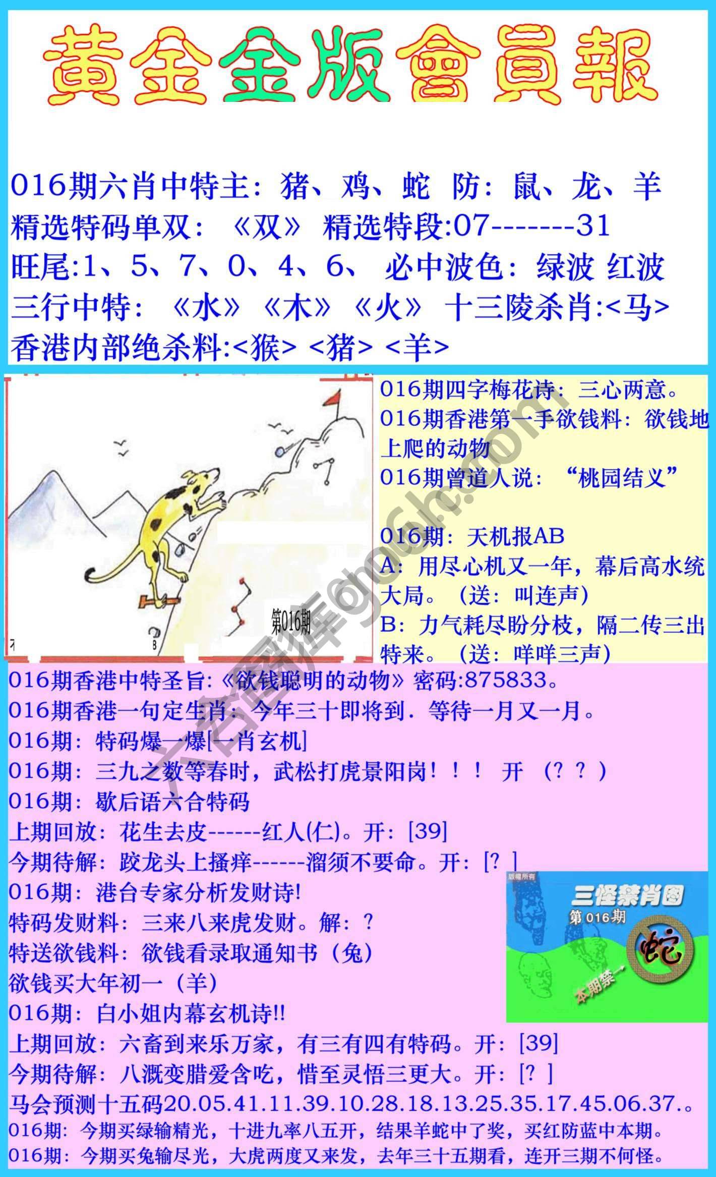 黄金金版会员报