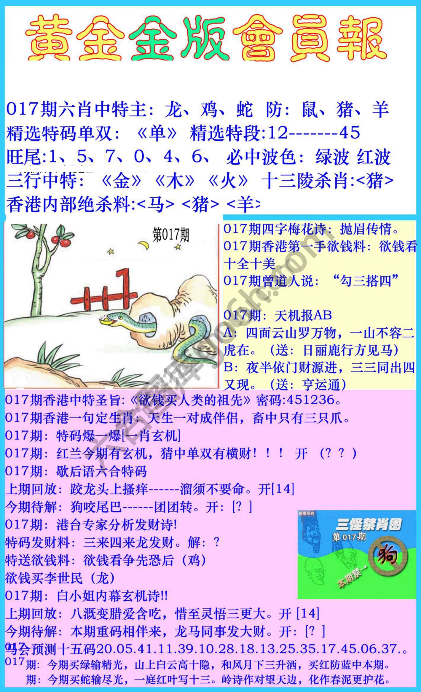 黄金金版会员报