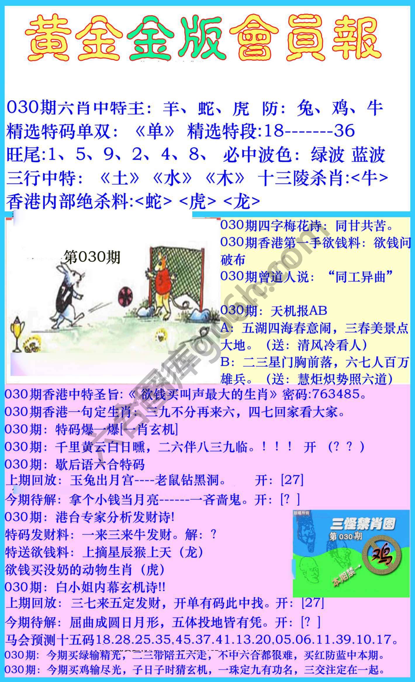 黄金金版会员报