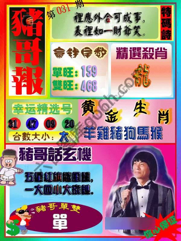 猪哥报