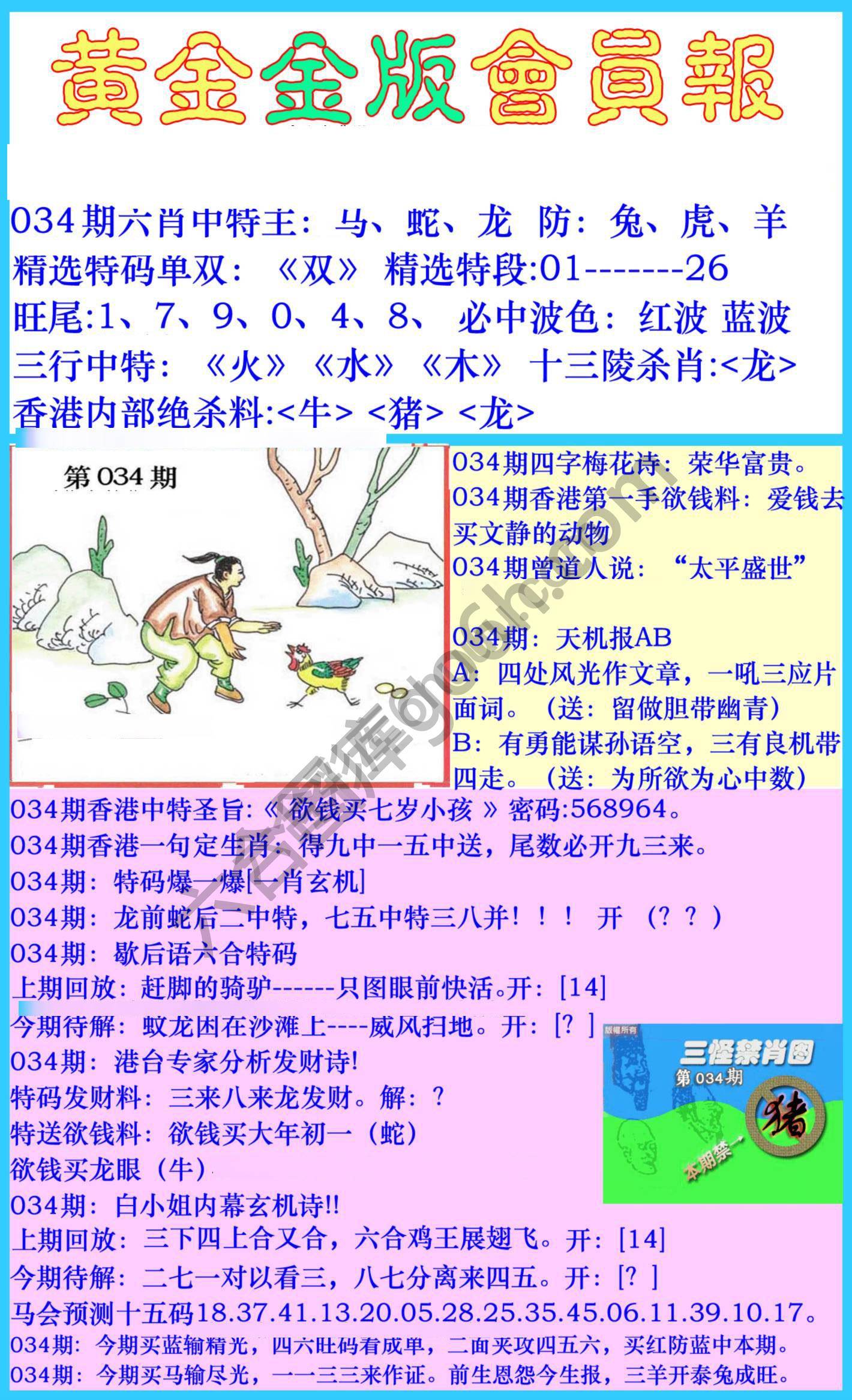 黄金金版会员报