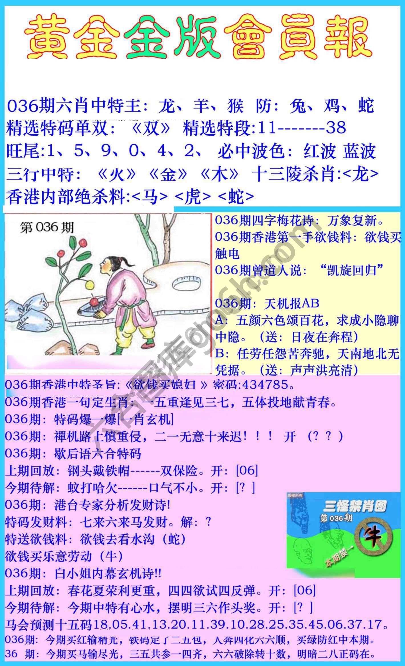 黄金金版会员报