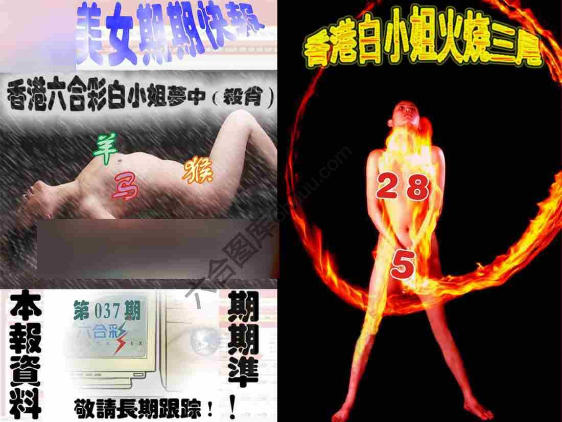 环球美女特码报