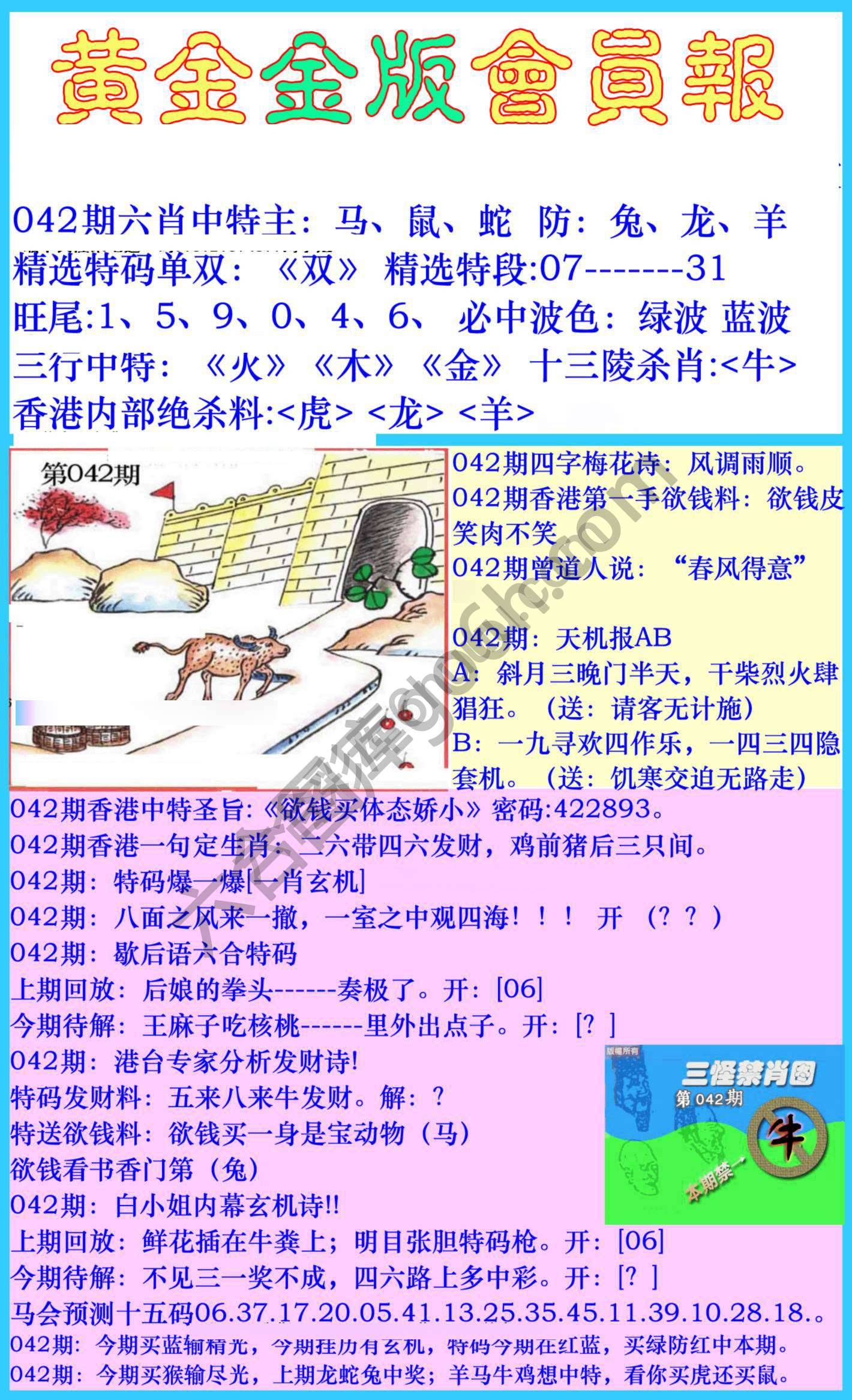 黄金金版会员报