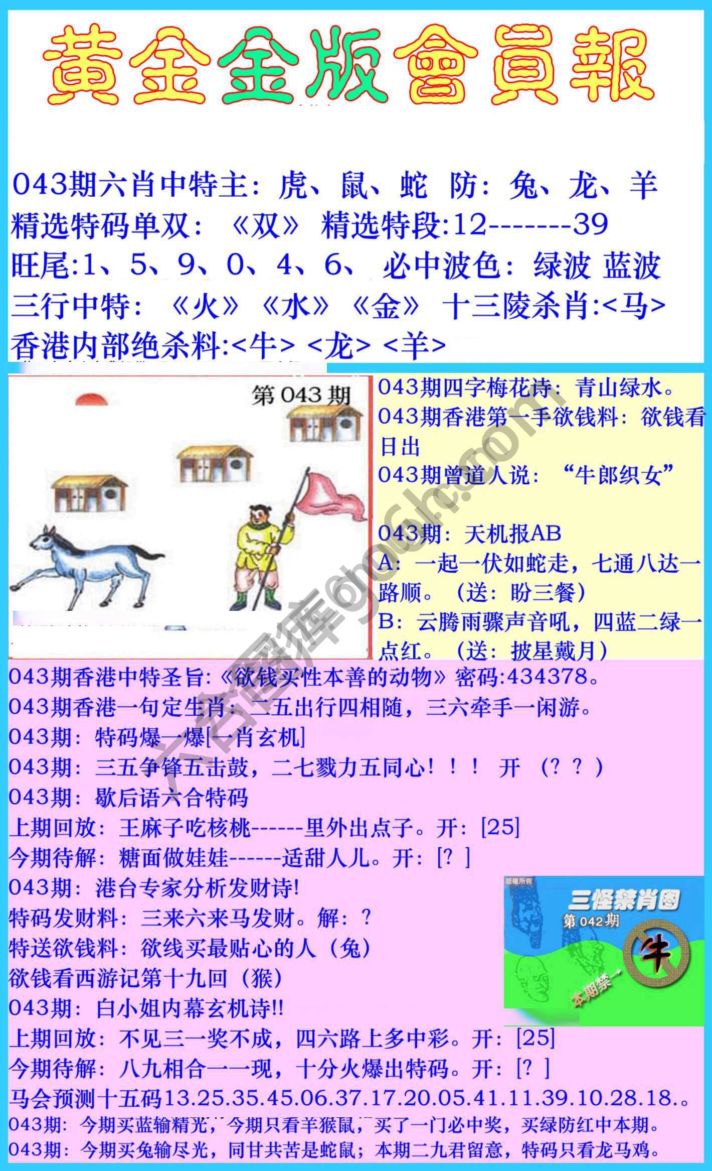 黄金金版会员报