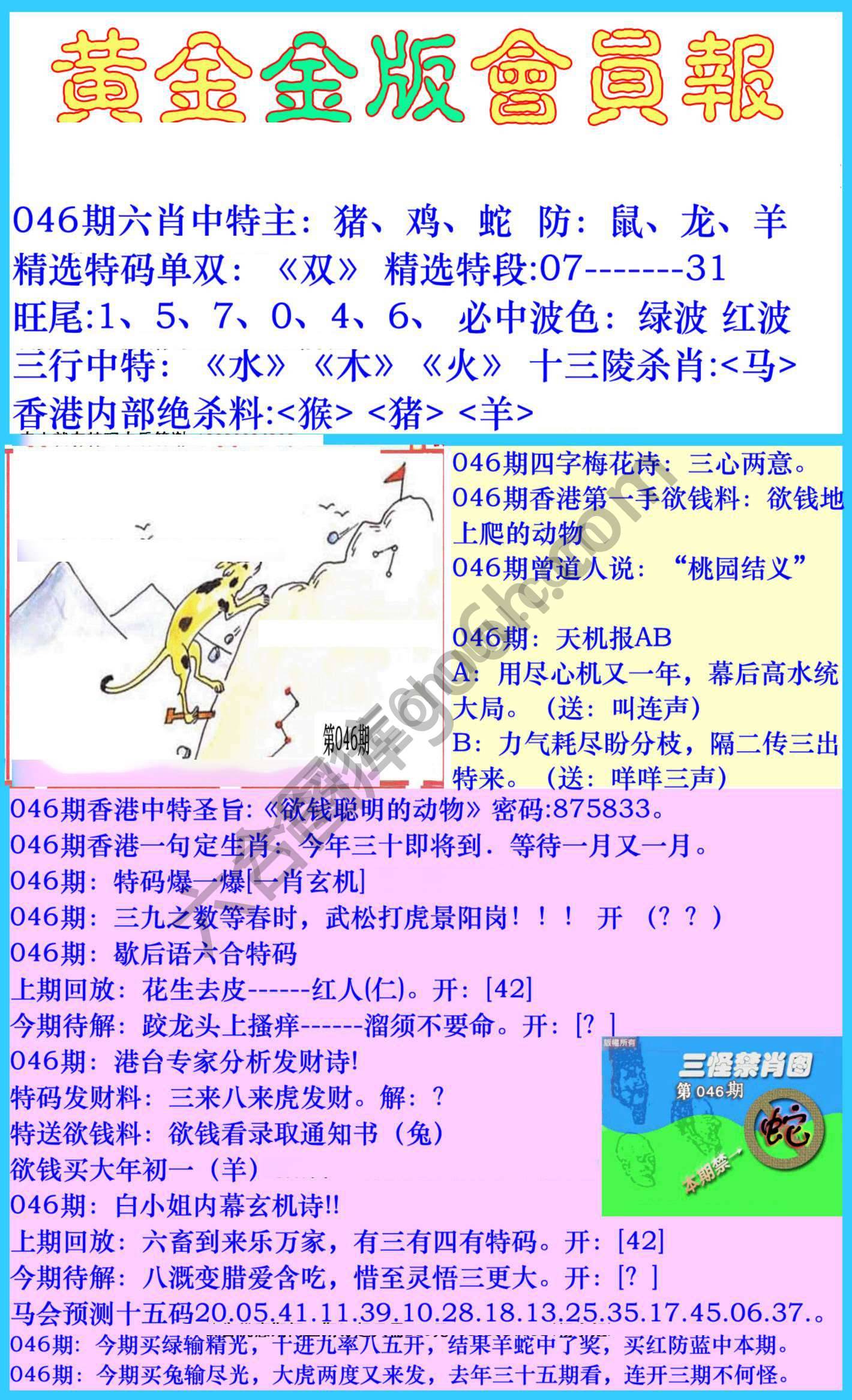 黄金金版会员报