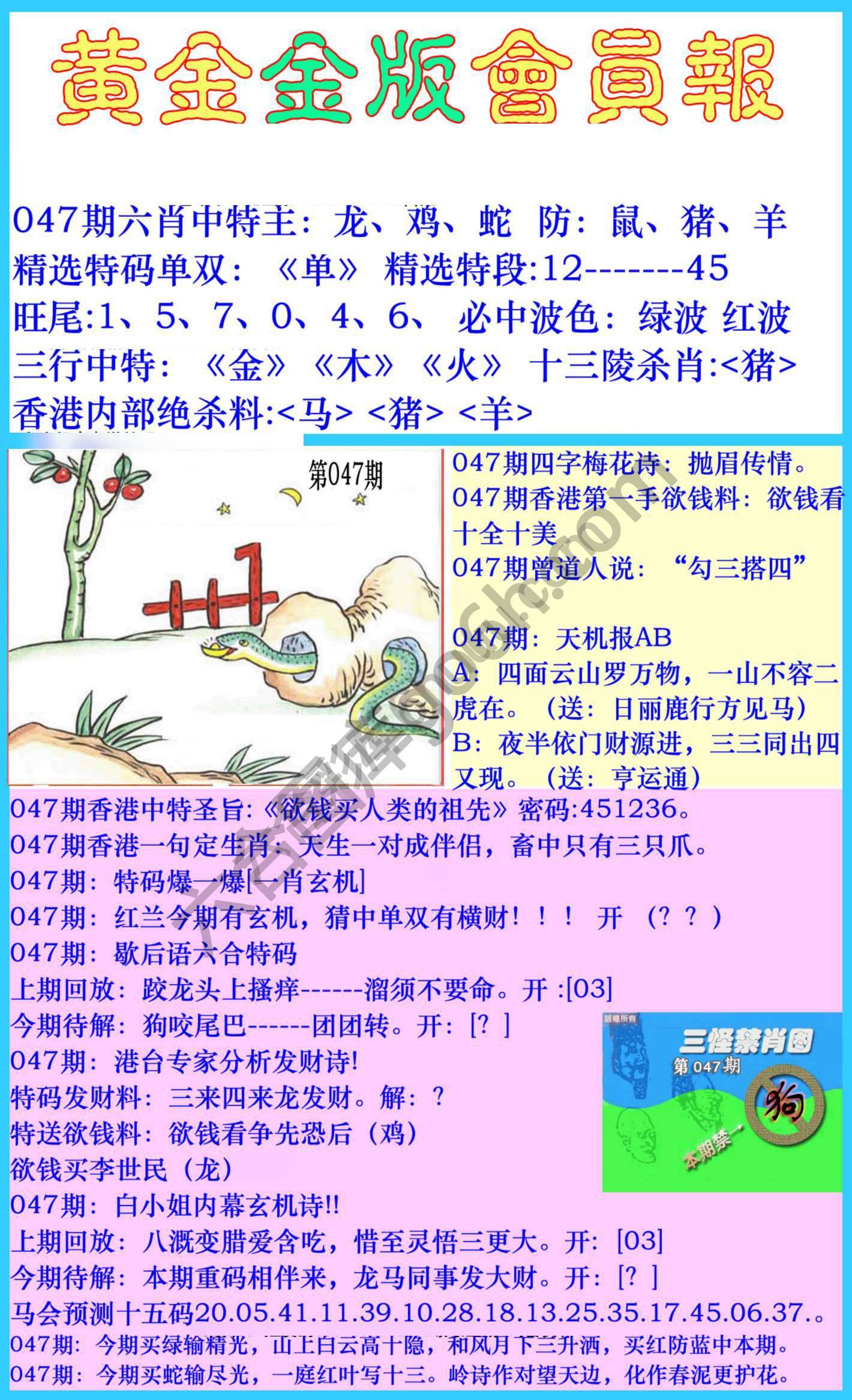 黄金金版会员报